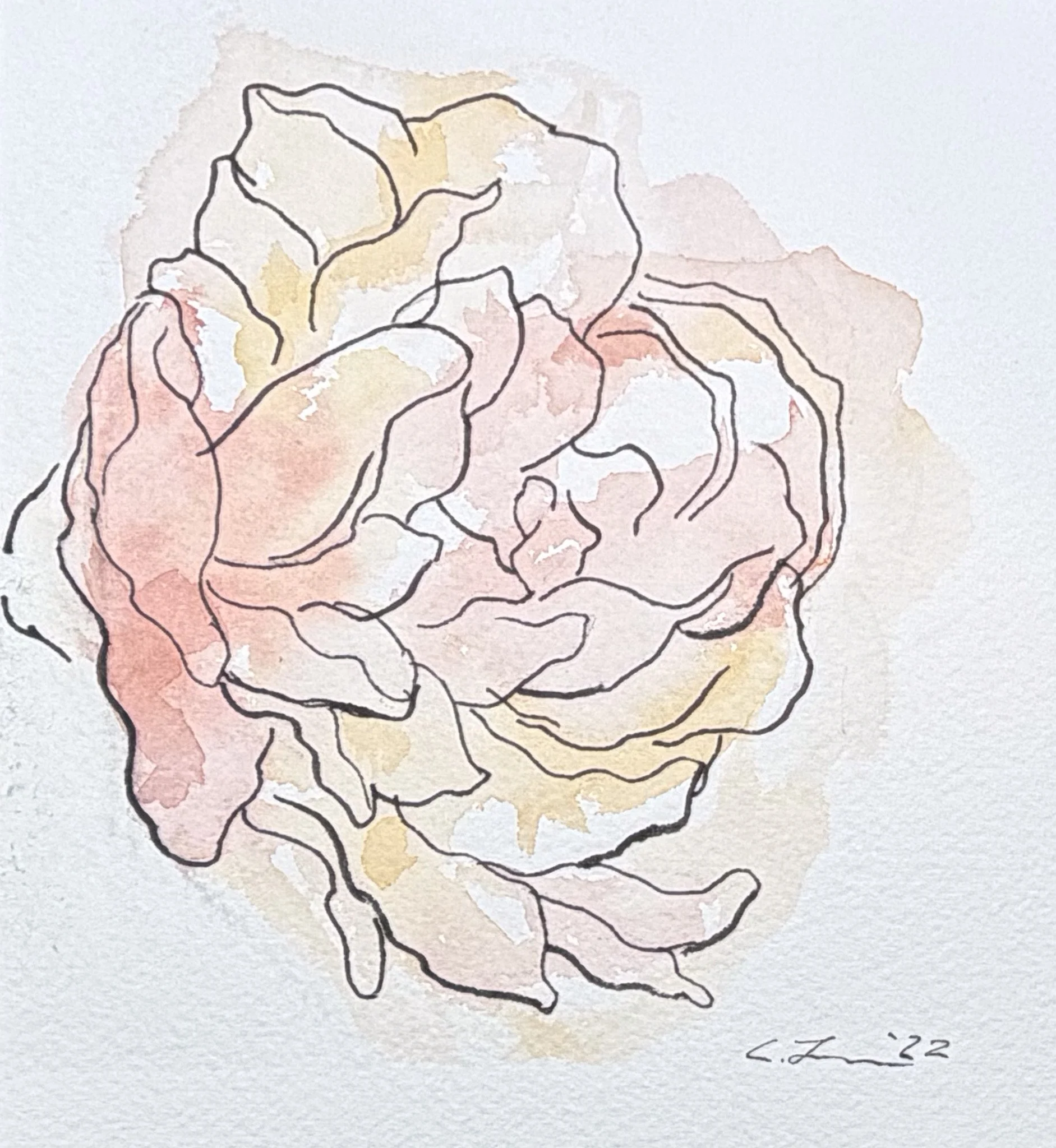 Peony #2