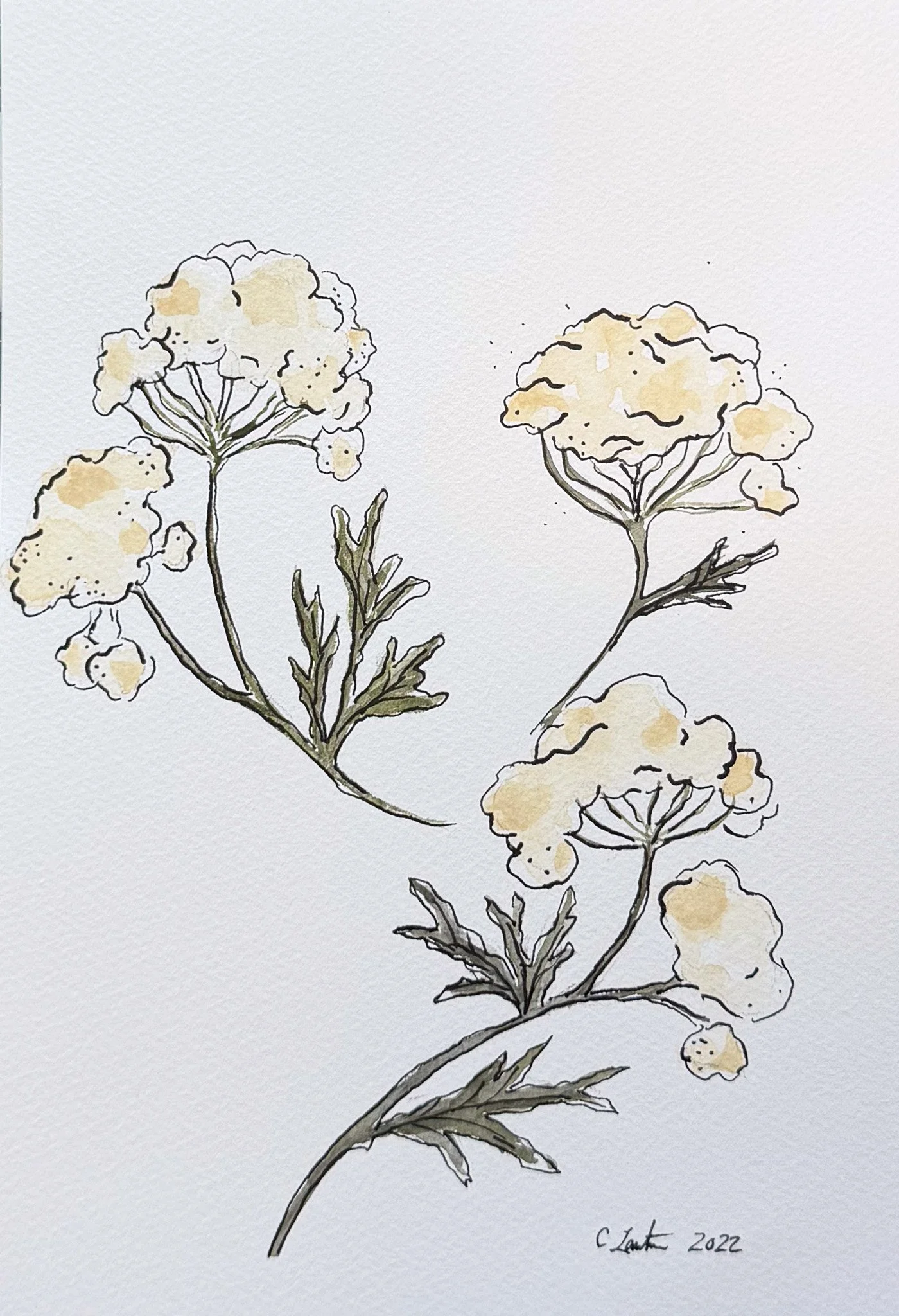 Simple Flowers