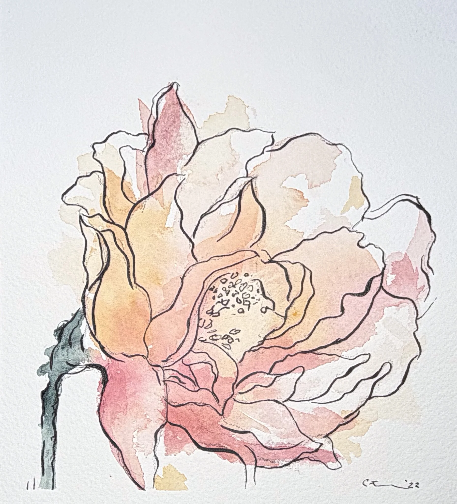 Peony #1