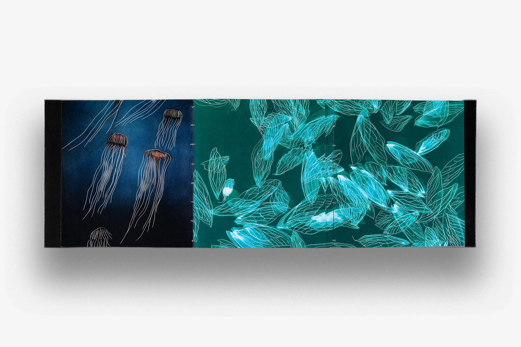 Spread_03.jpg.webp