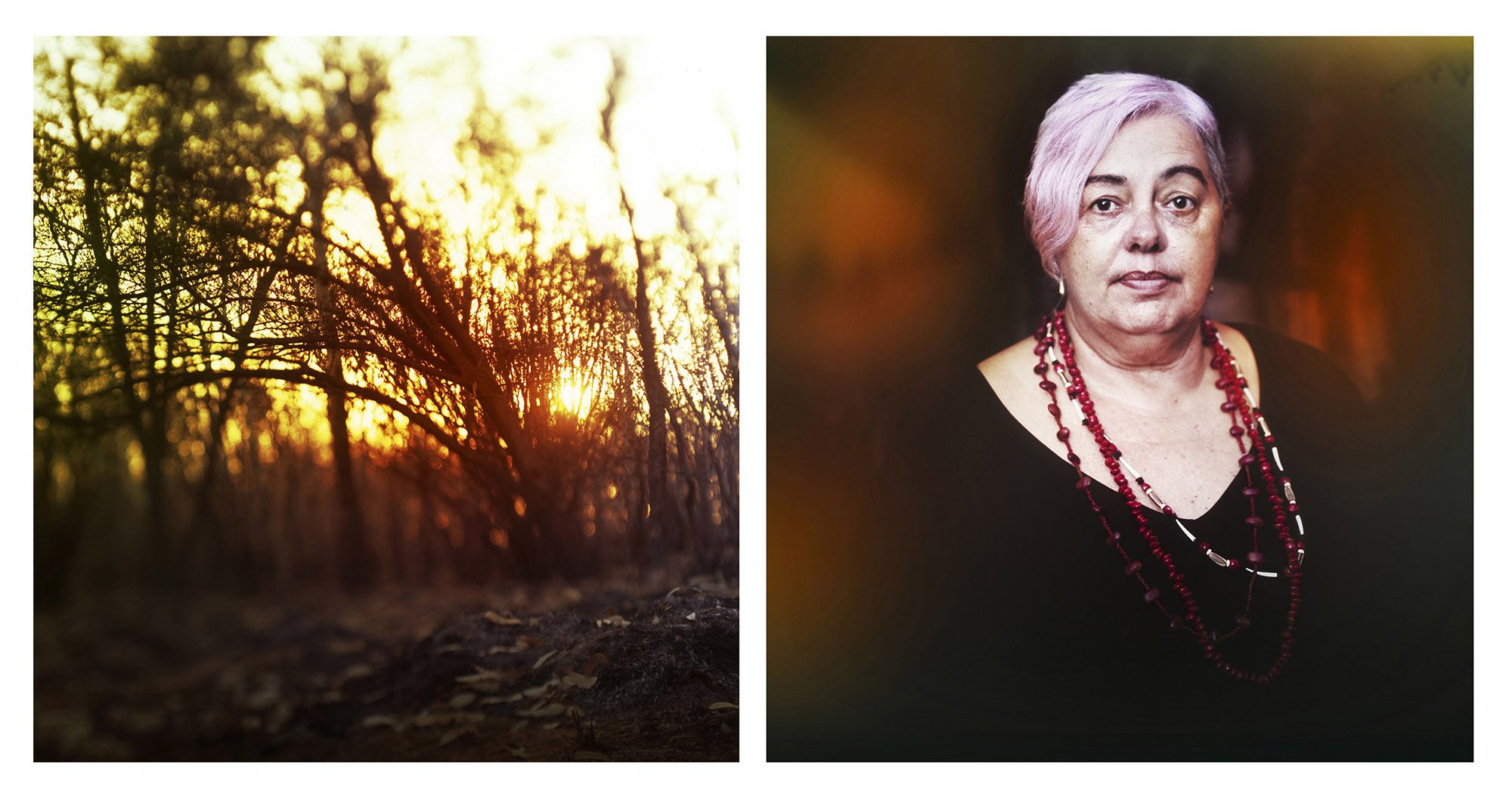 010_APOLOGY_SUE_PINCKHAM.jpg