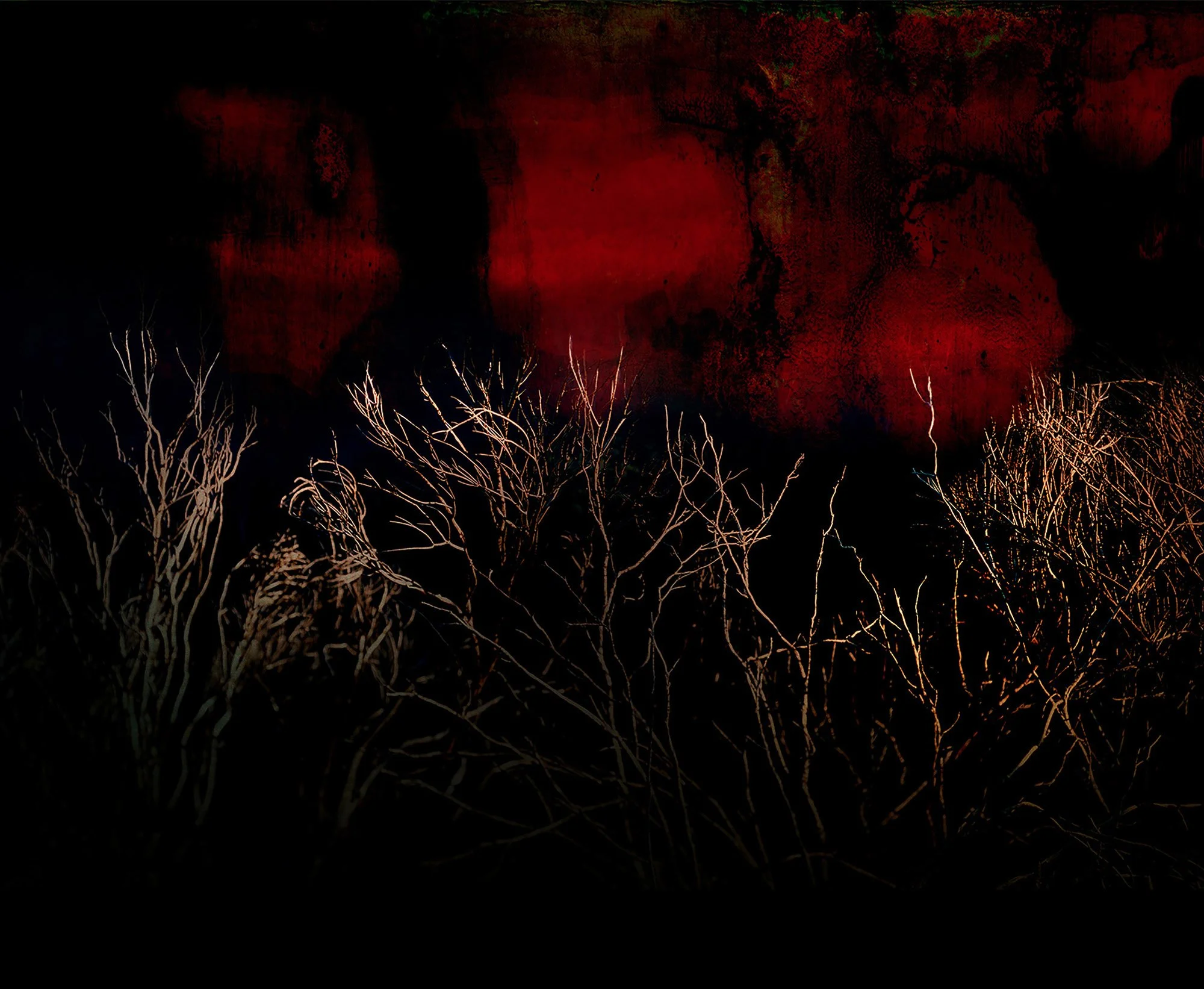 the_dark_forgetting_22.jpg