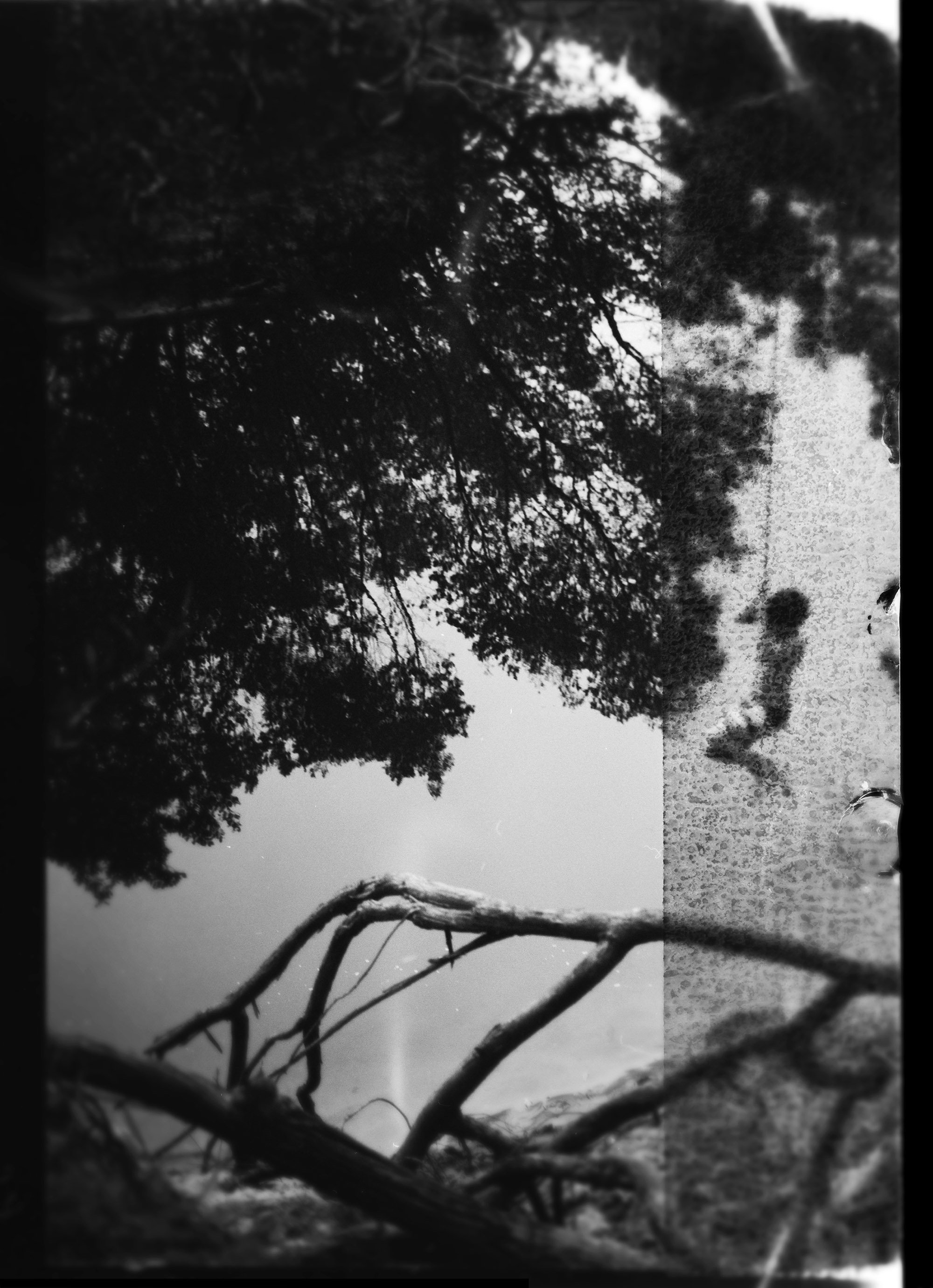 waiting_for_a_bird17.jpg