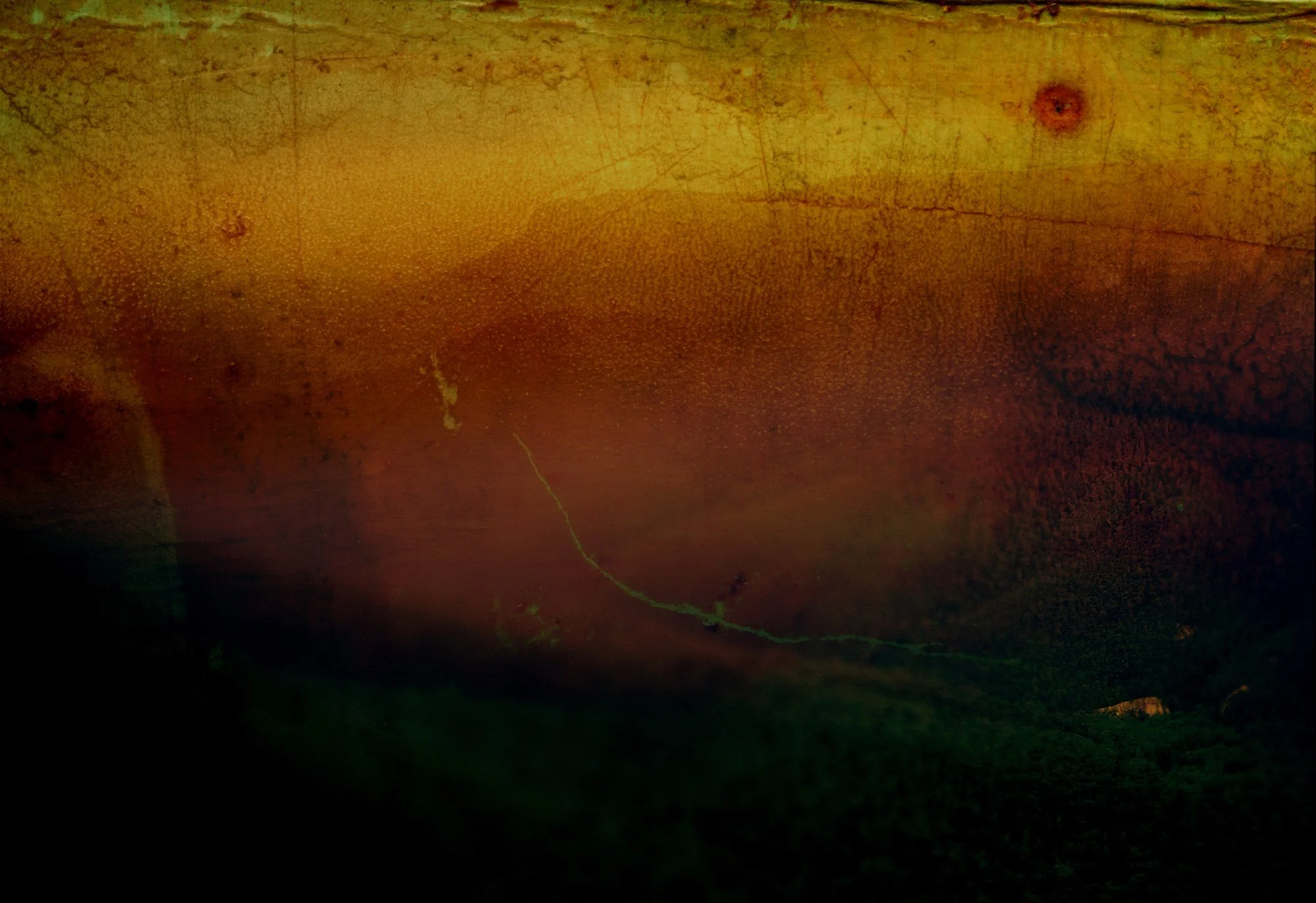 The Dark Forgetting