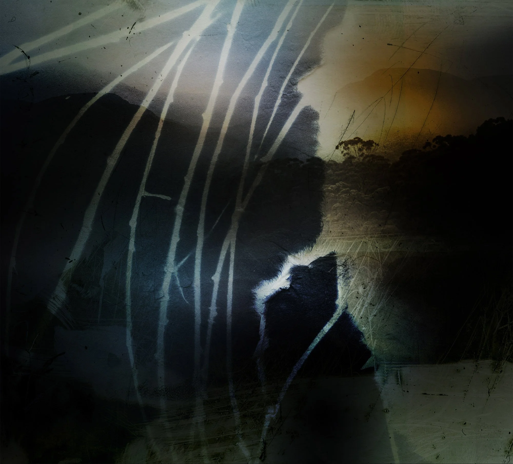 the_dark_forgetting_21.jpg