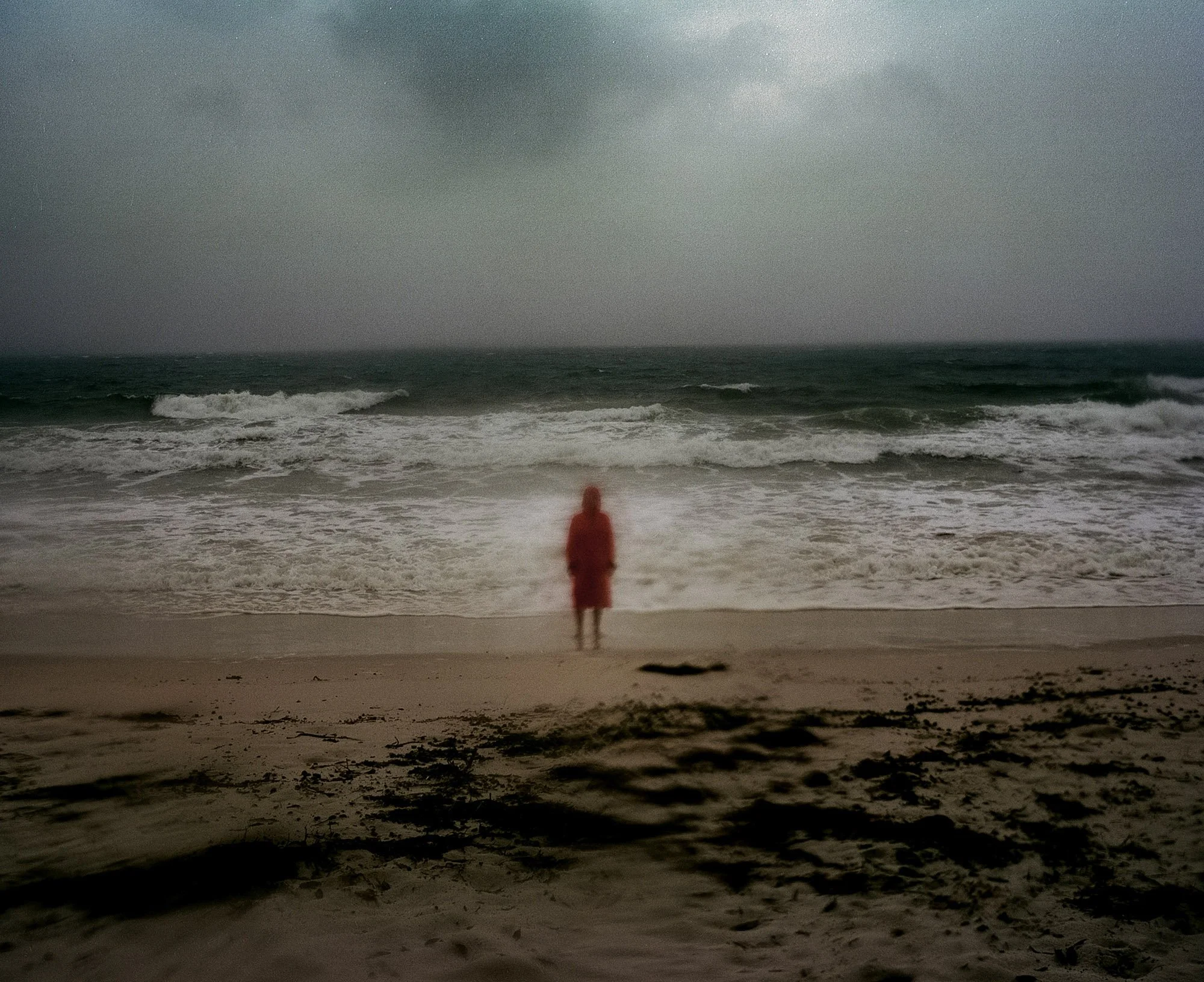 022Aletheia_Casey_WHICH WAY IS NORTH.jpg