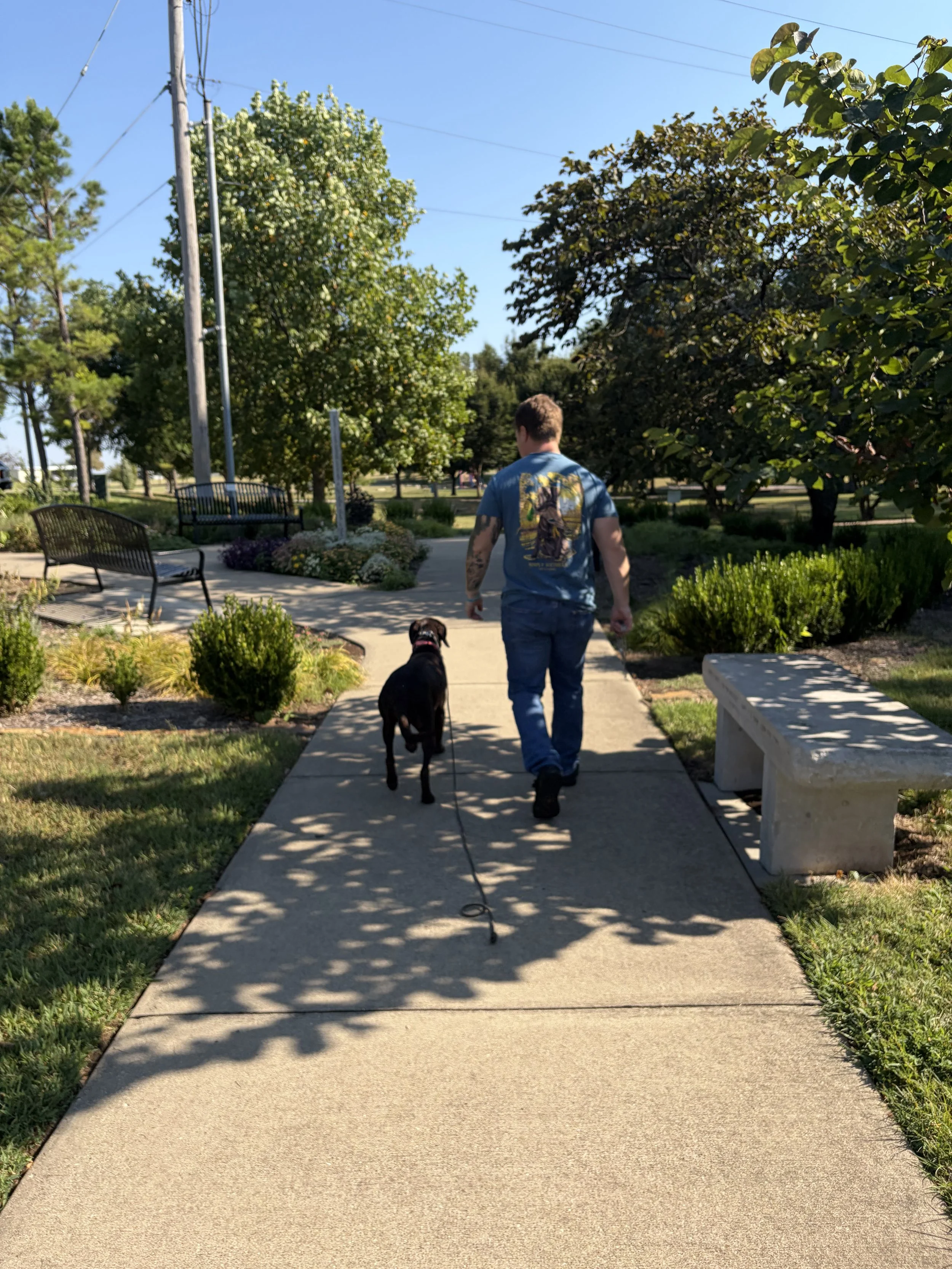 A man walking his black dog on a leash along a concrete sidewalk in a park. The man is wearing a blue t-shirt, jeans, and is seen from behind. The park has trees, benches, flower bushes, and a bright blue sky.