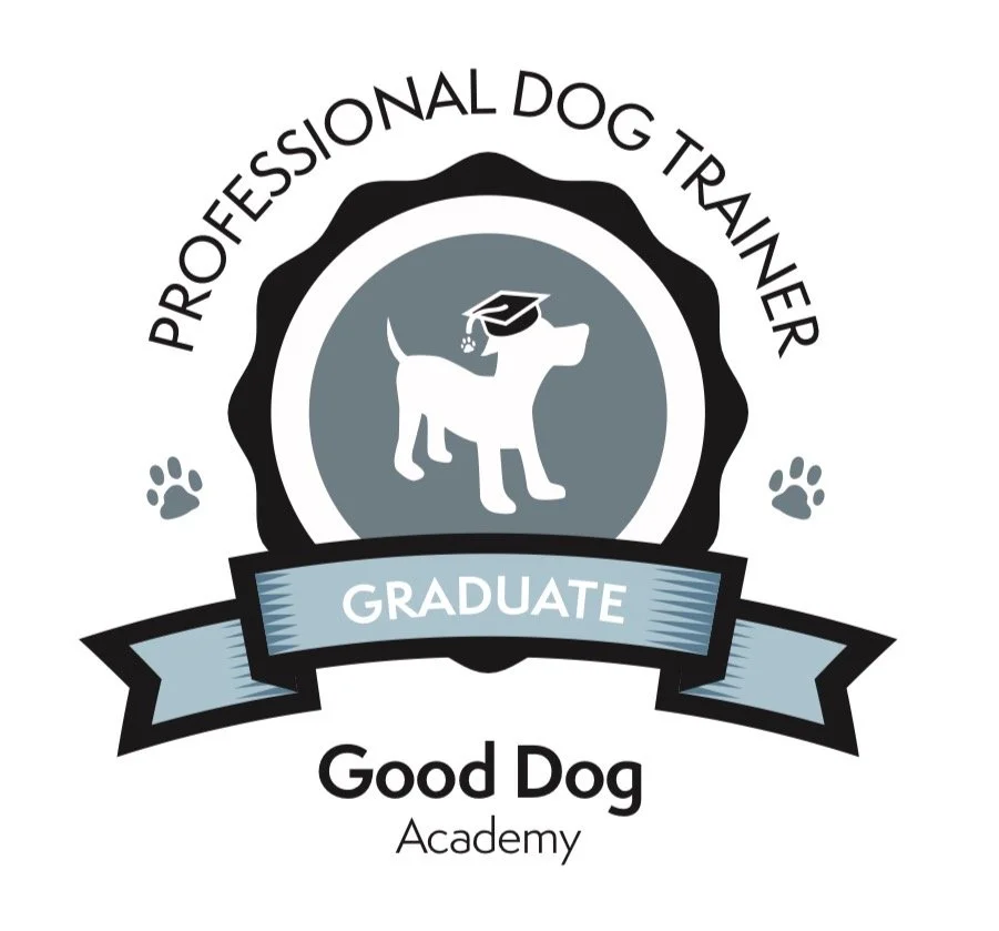 Badge for a professional dog trainer and graduate of Good Dog Academy, featuring a silhouette of a dog wearing a graduation cap, with paw prints on each side.
