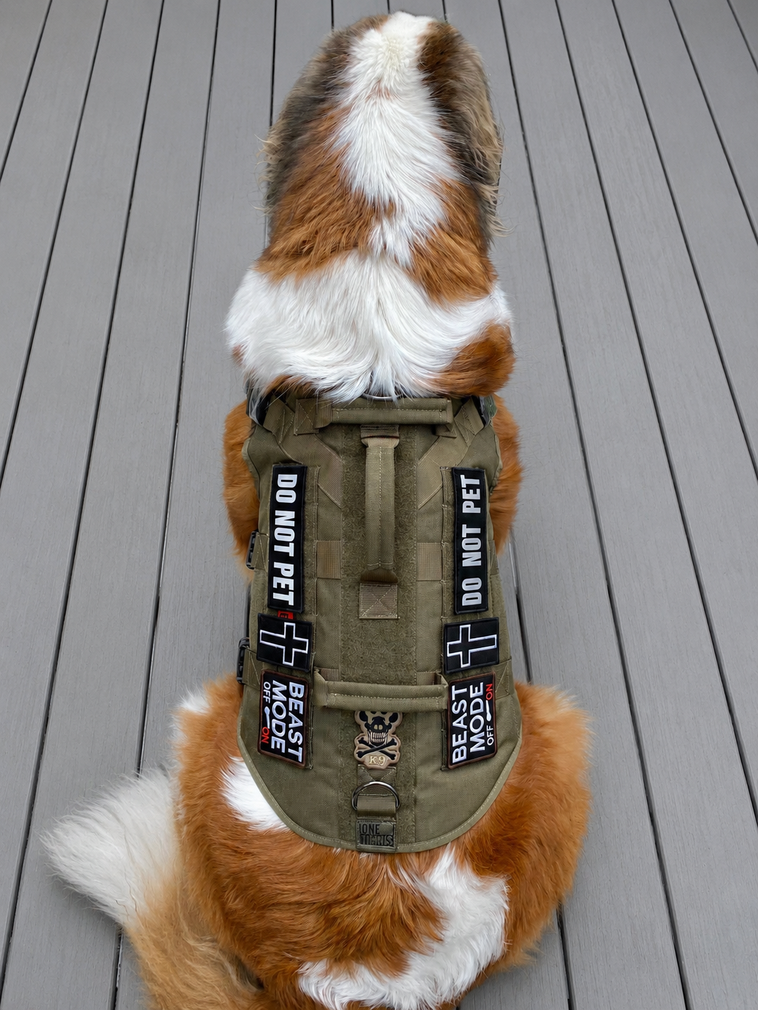A dog with a mix of white, brown, and black fur is sitting on a gray wooden deck, wearing a green tactical vest with patches that say 'Do Not Pet,' 'Beast Mode,' and 'Off On'. The vest has a skull patch and various straps and attachments.