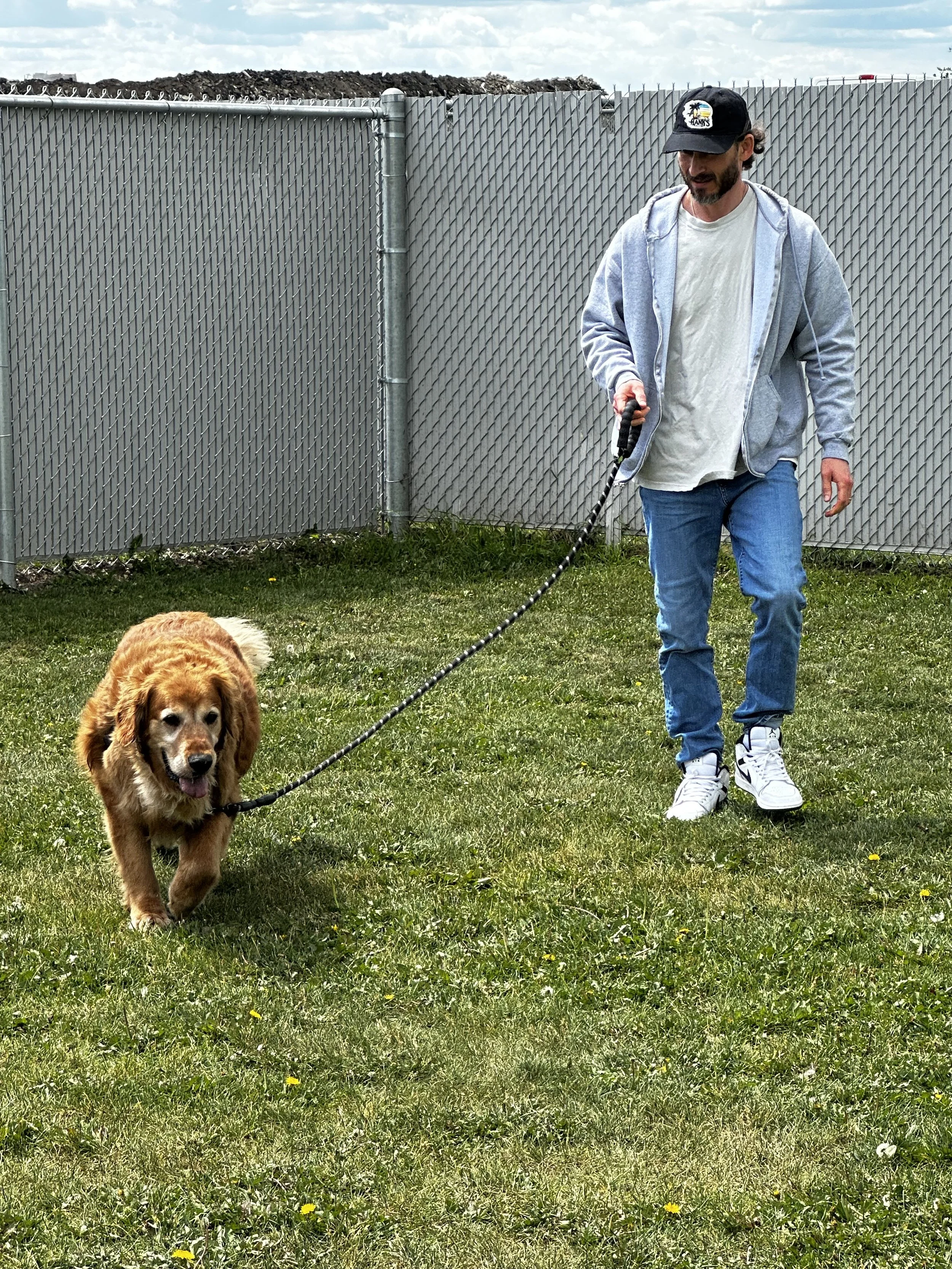 A man walking a golden retriever dog on a leash in a grassy area near a chain-link fence with a cloudy sky in the background.