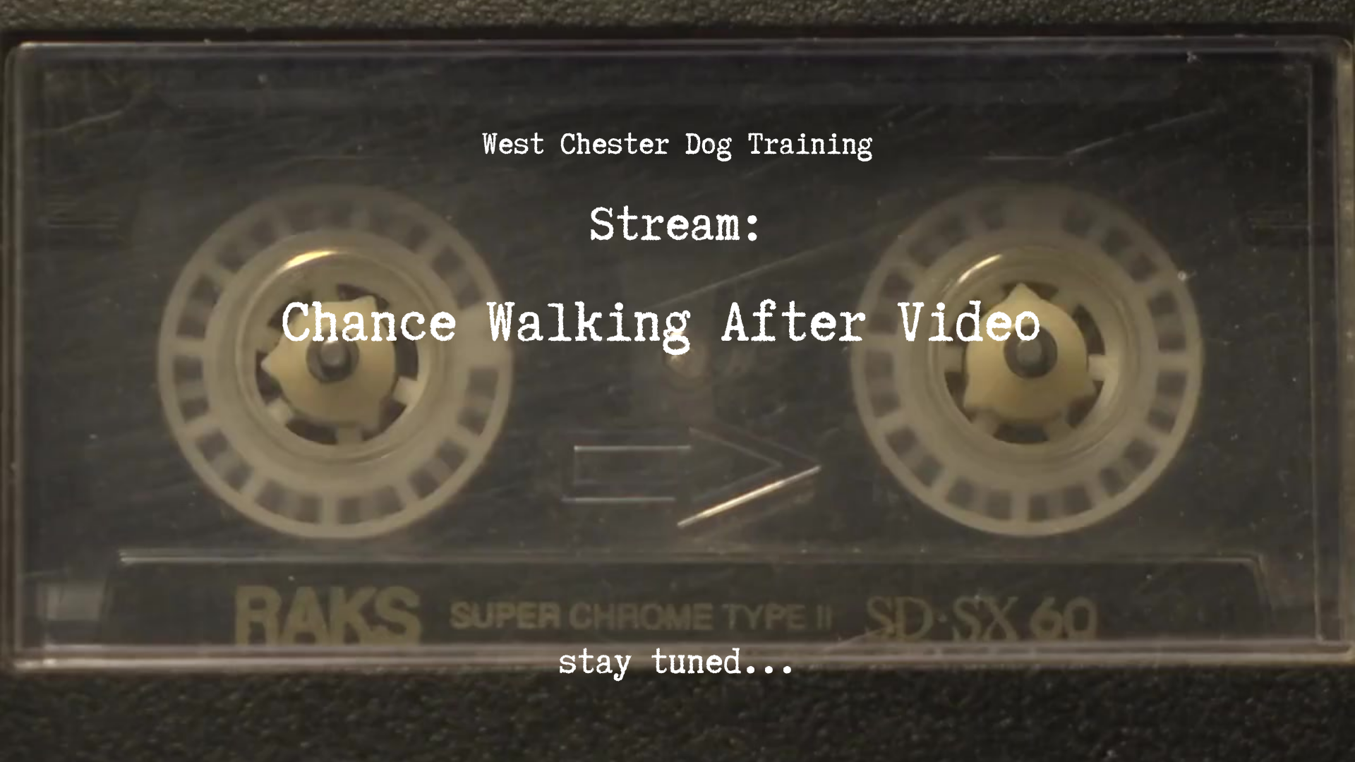 This video shows a dog named Chance walking with a loose leash after dog training with Joe in Cincinnati and West Chester area.