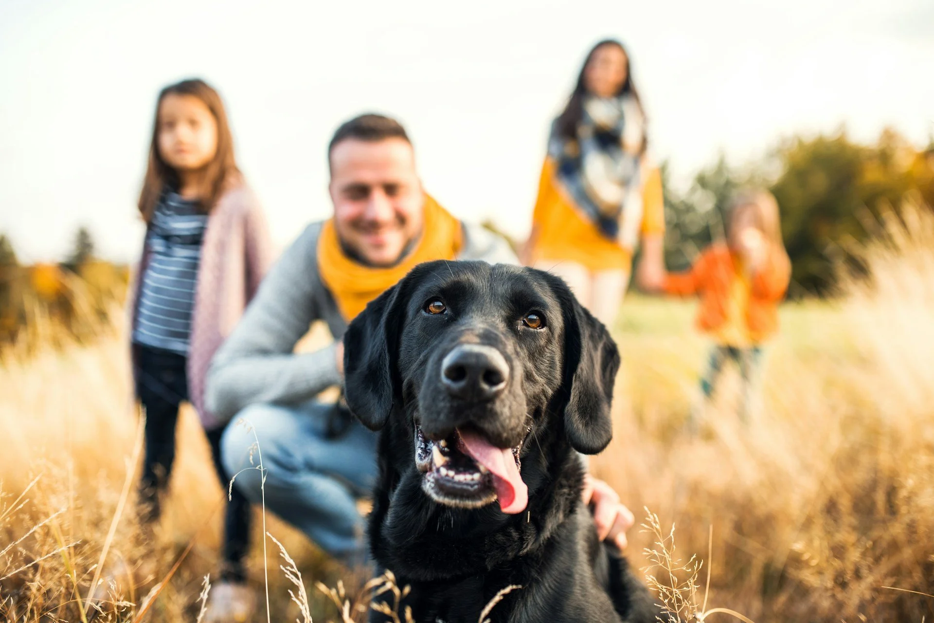 A family with a black dog to represent the cost of dog training in Cincinnati.