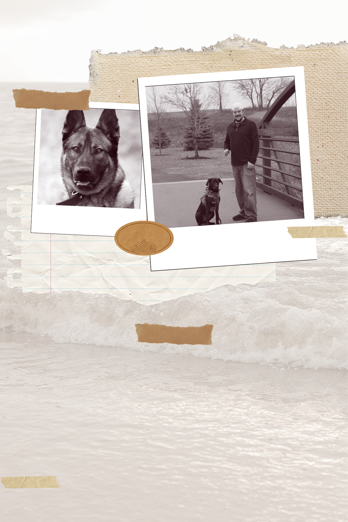 Two overlapping black and white photographs taped to a textured background. The first photo features a close-up of a stand-up dog, possibly a German Shepherd mix, with pointed ears and a friendly expression. The second photo shows a man wearing a helmet standing on a bridge with a dog sitting beside him, captured during a walk outdoors in a park or similar setting.