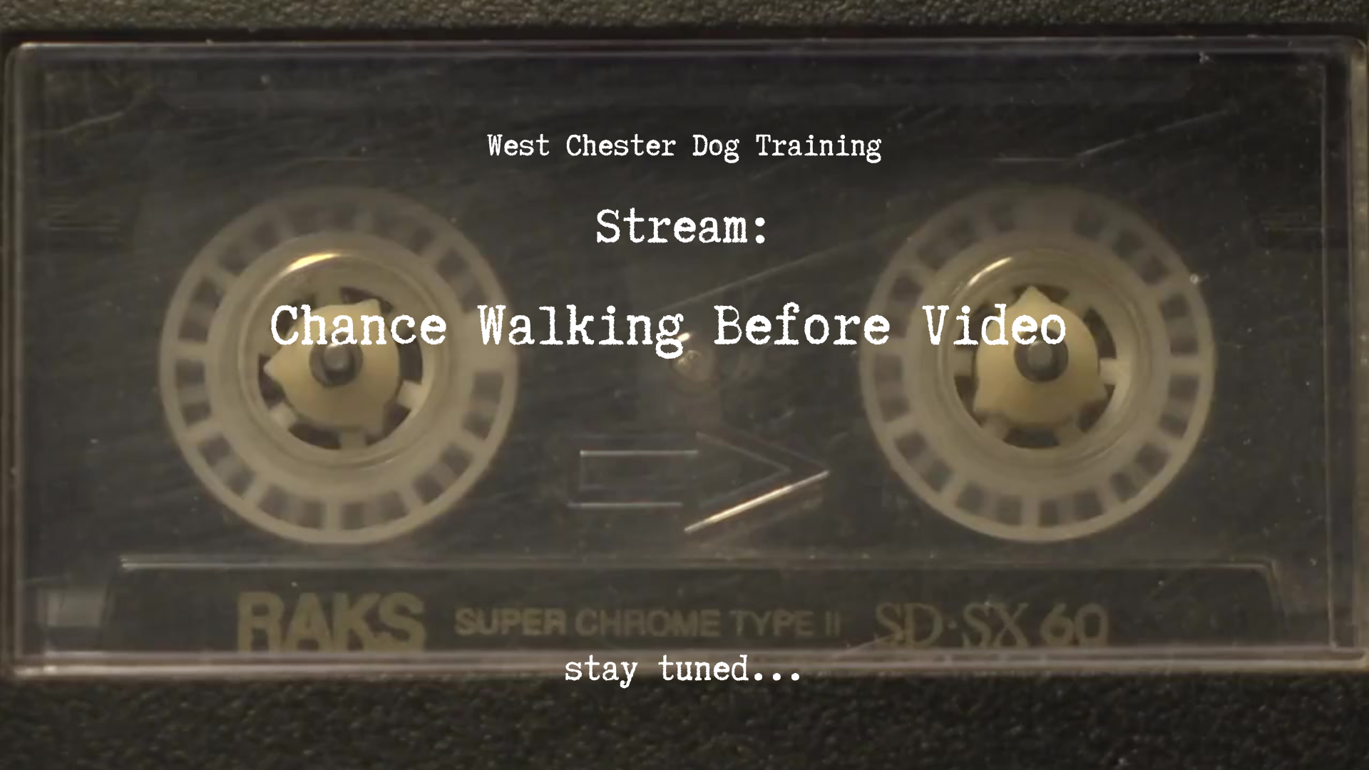 This links to a video of a 6 month old puppy Chance dragging the leash, unable to walk properly.