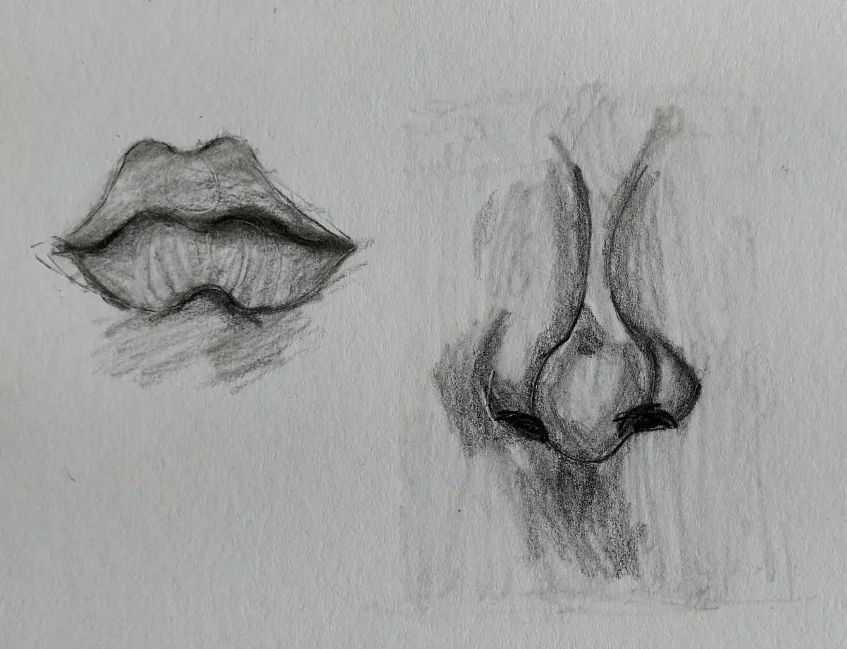 Art- Pencil drawing Nose and lips.jpg