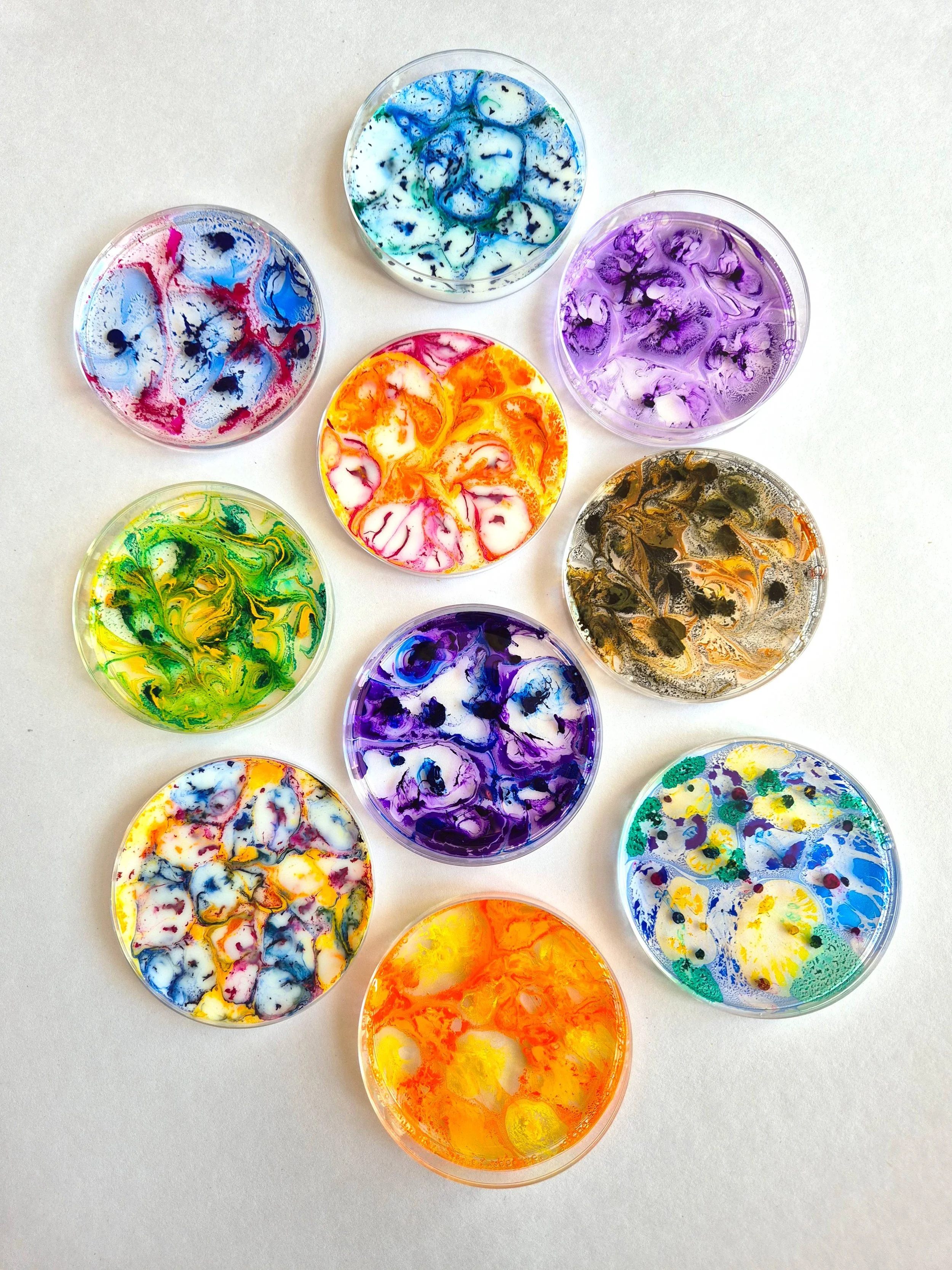 Petri dish2.jpg