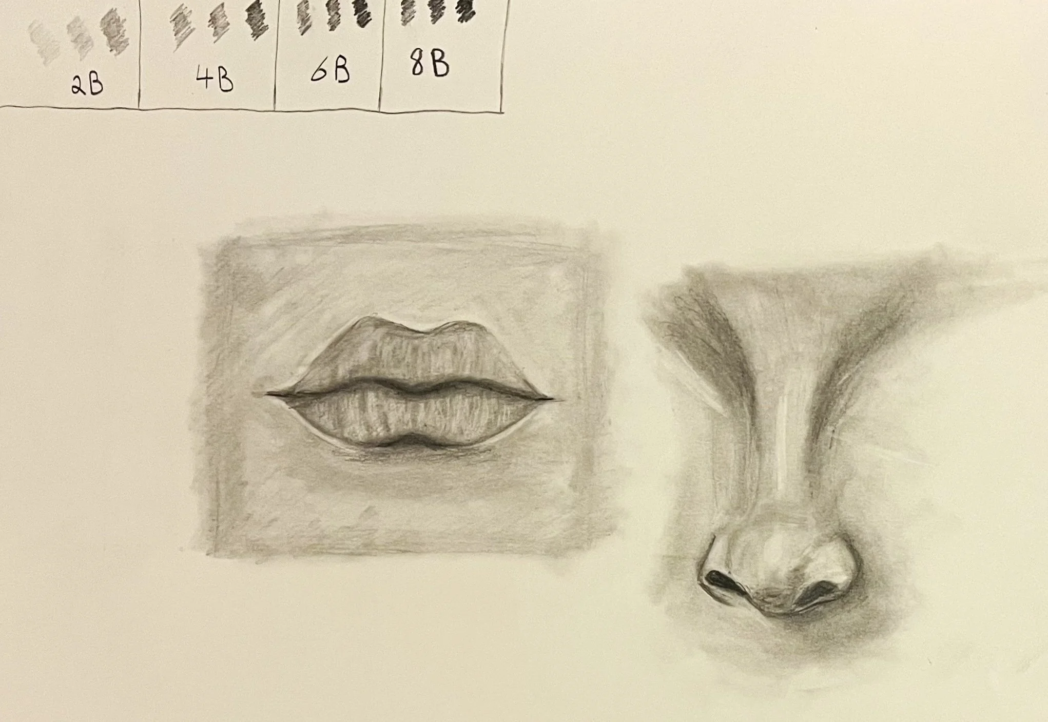 Pencil drawing noses and lips (1 Dec 2025 at 16_13) (1).jpg
