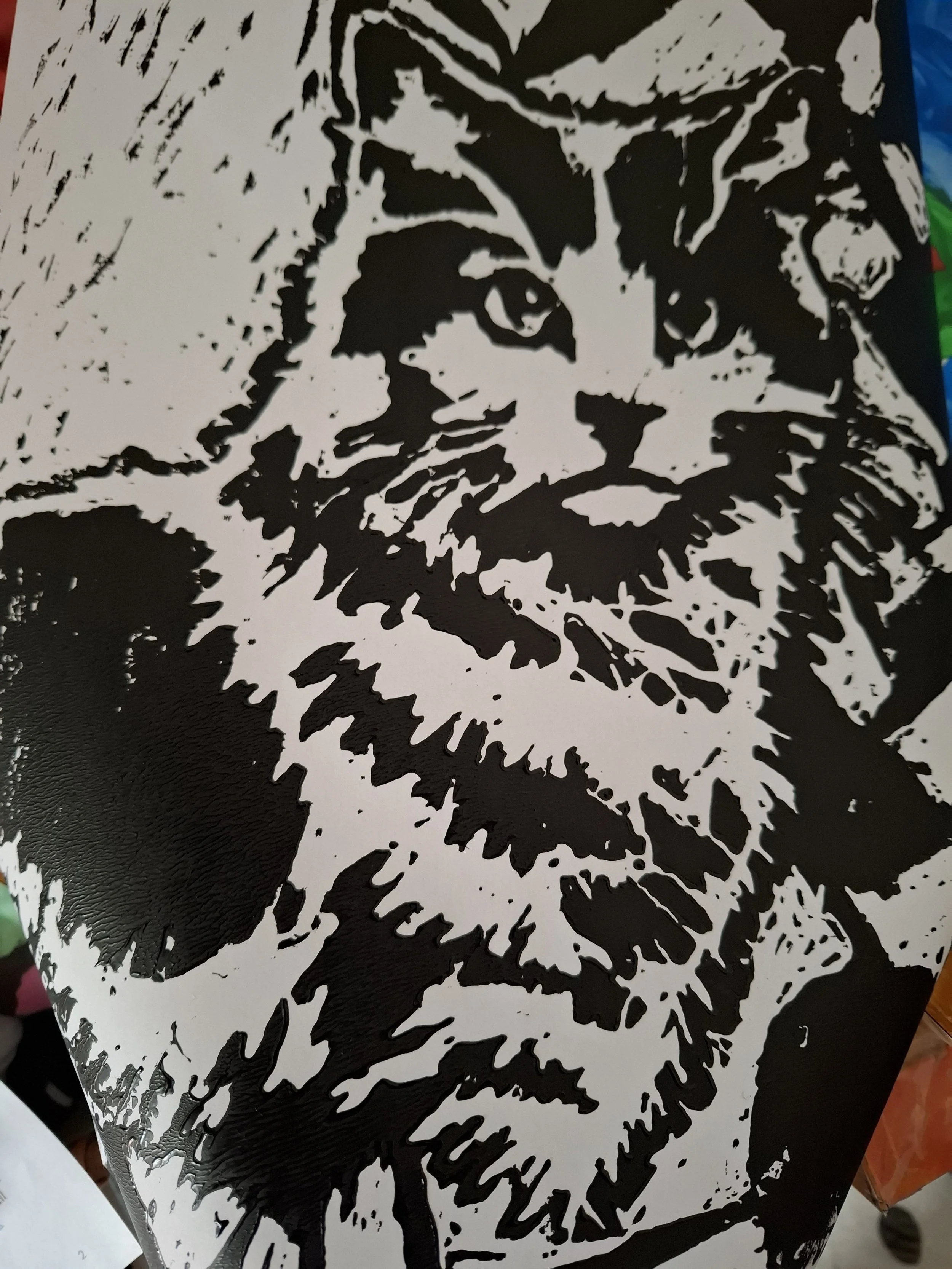 20260323_160153.jpg