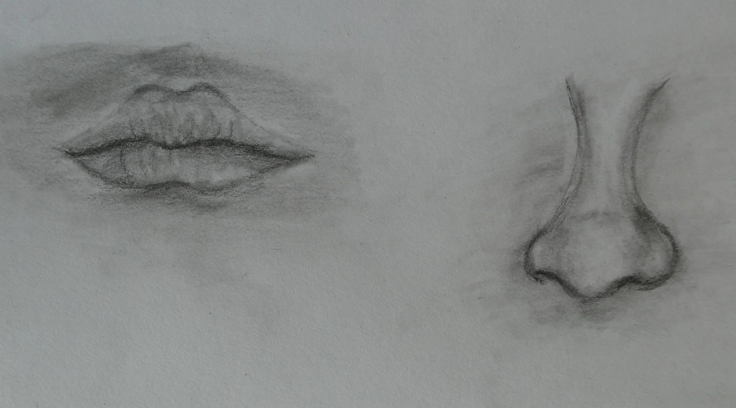 Anna Art Week20 Lips and Nose 1.12.25 (1).JPG