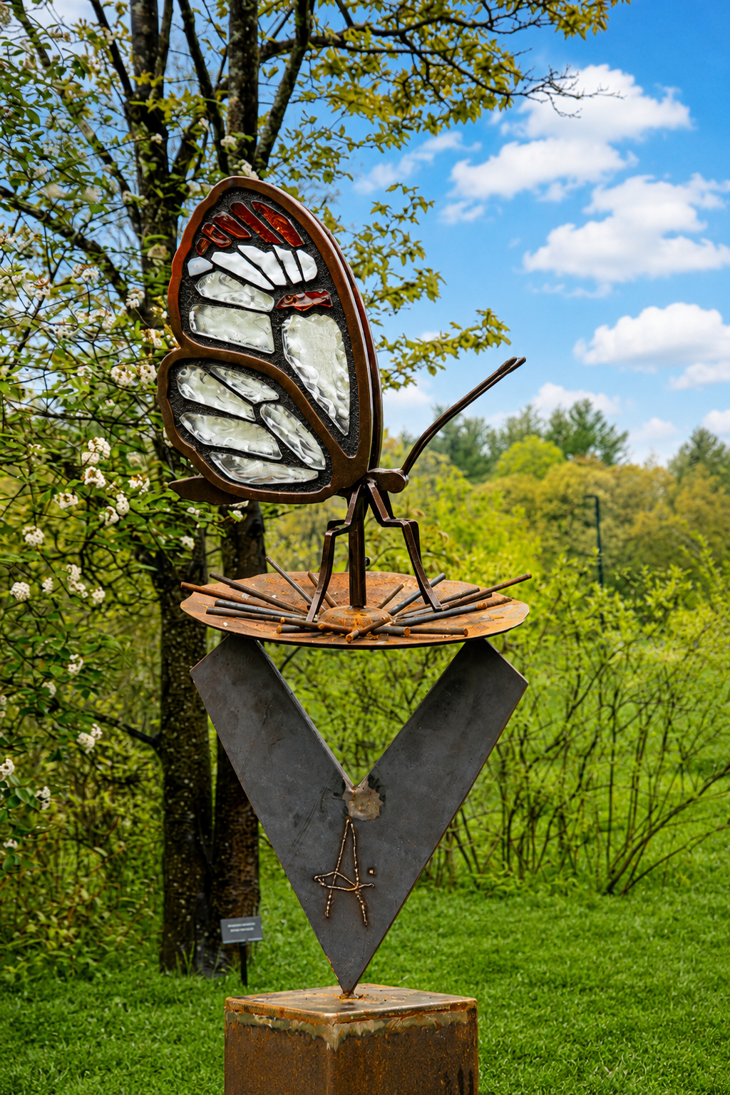 Glass Wing Butterfly