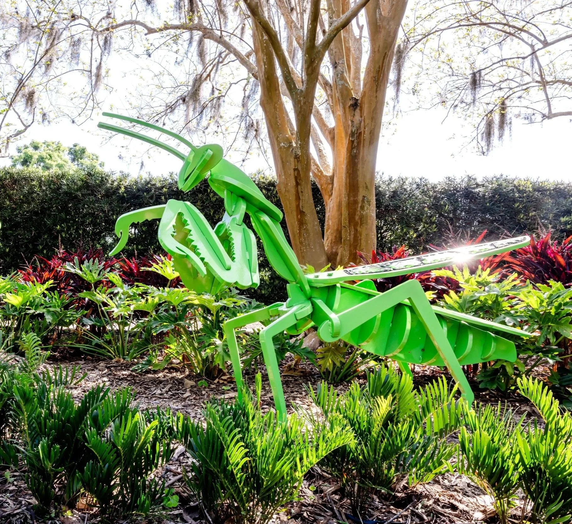 Pair of Praying Mantis
