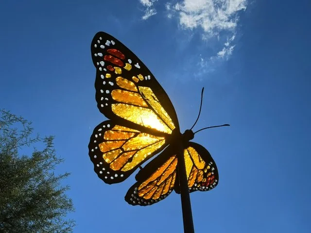 Monarch Butterfly