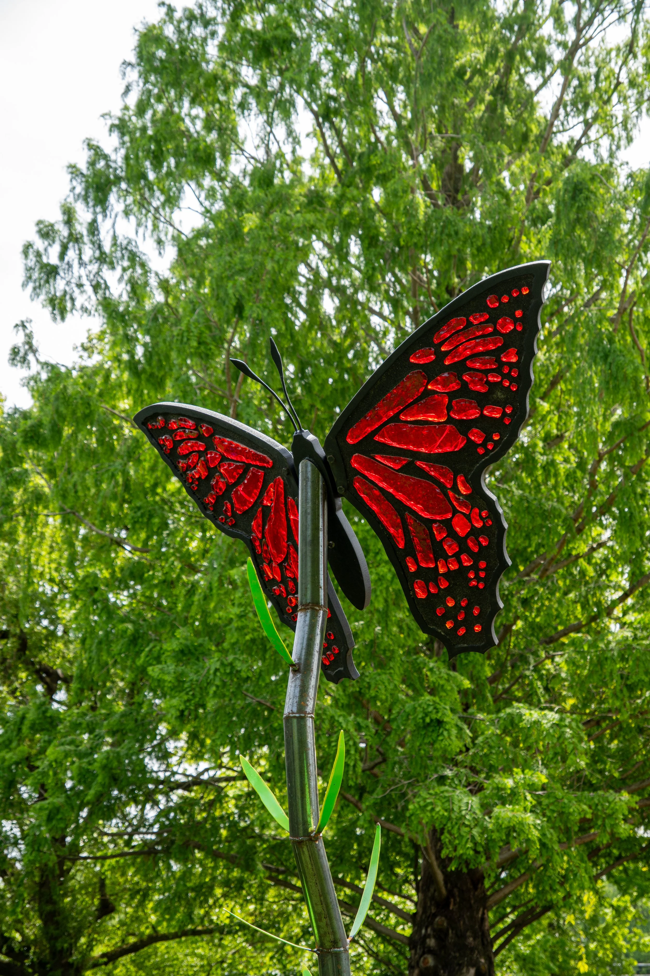 Red Butterfly