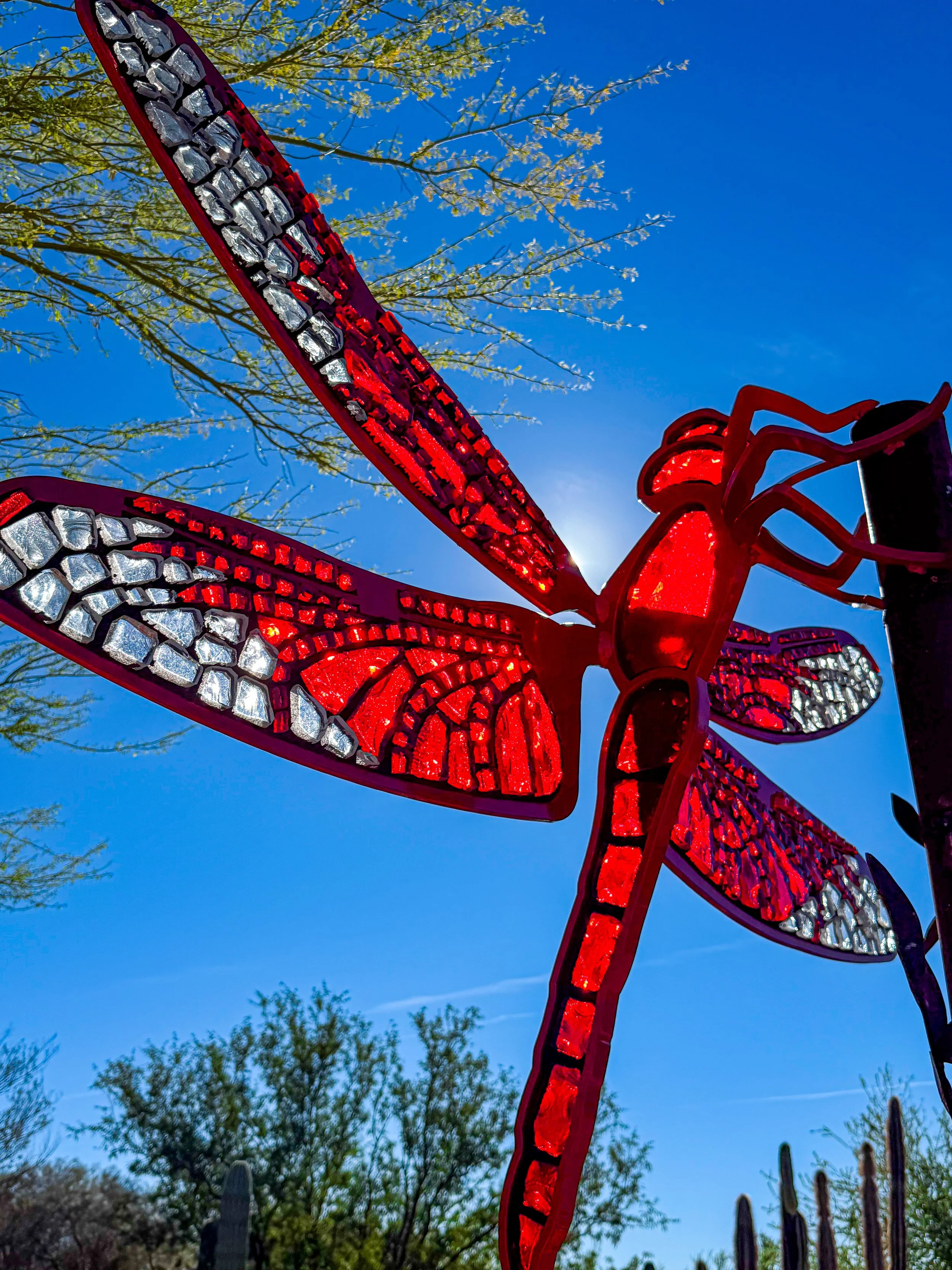 Red Grasshawk Dragonfly