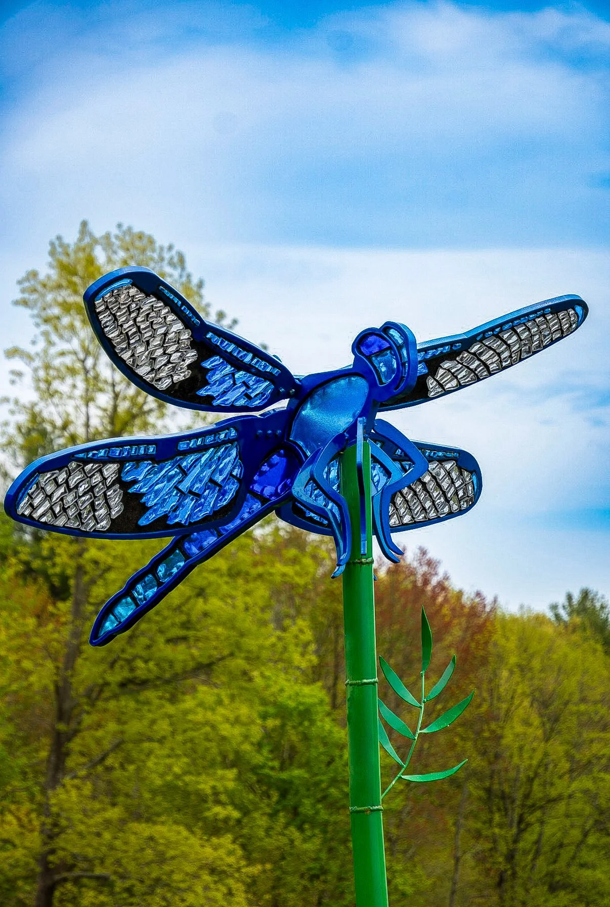 Blue Dasher Dragonfly
