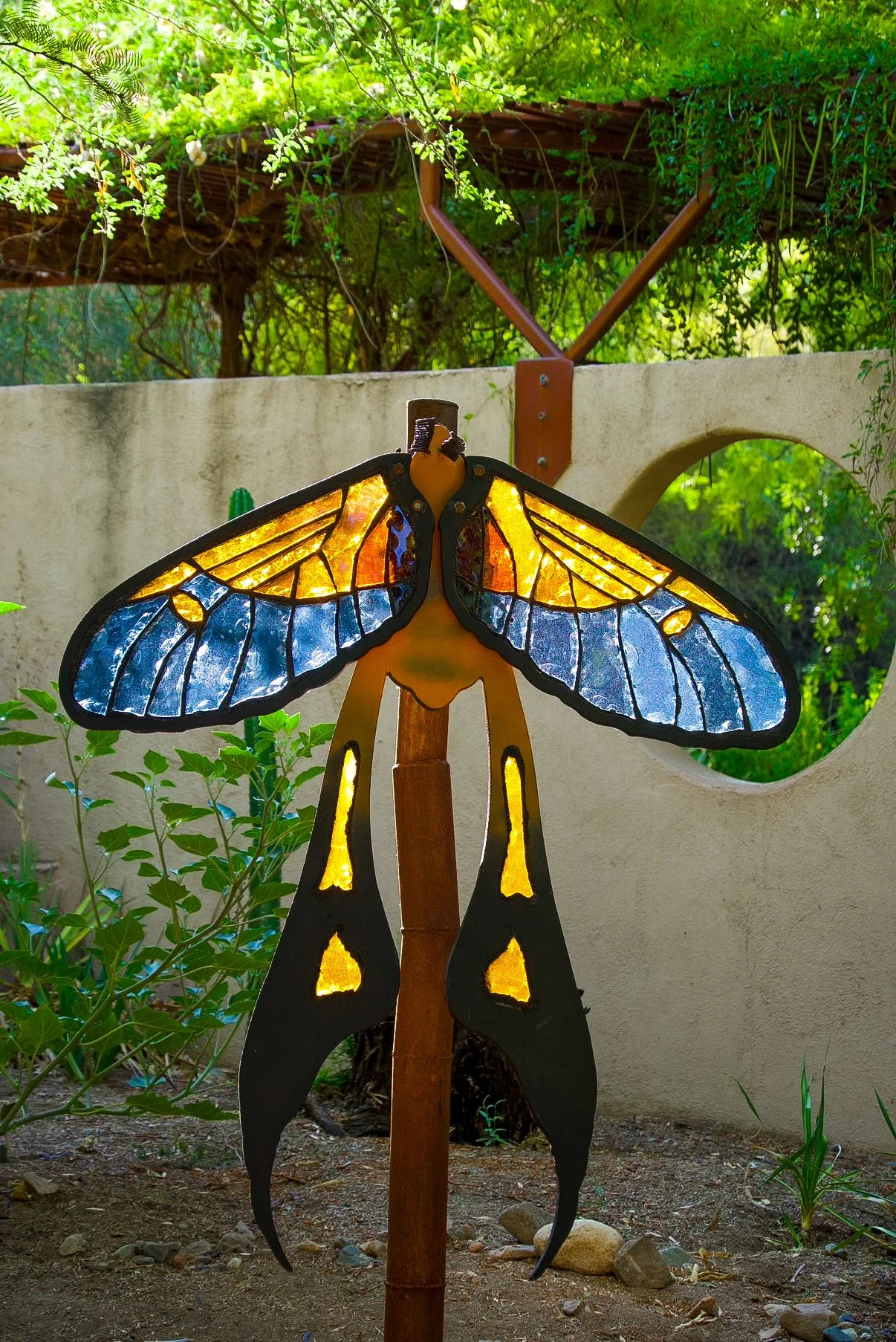 Burnet Moth