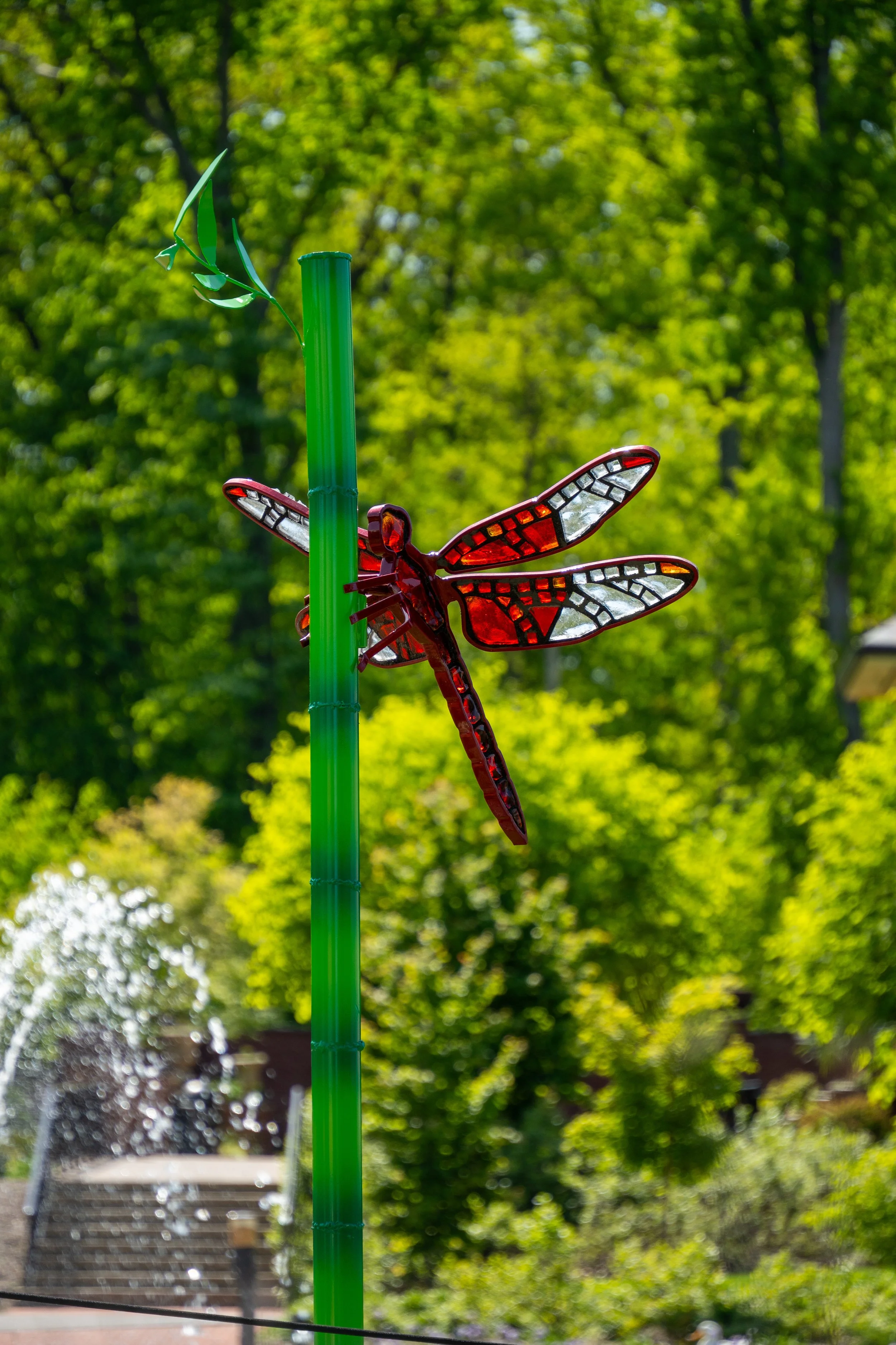Red Dragonfly on Bamboo Pole