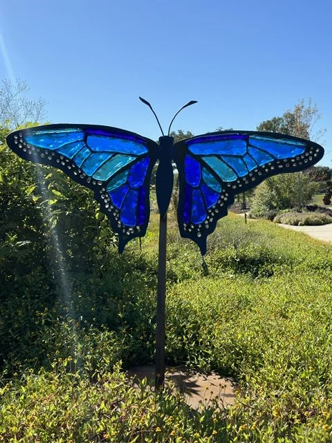 Blue Morpho Butterfly #2