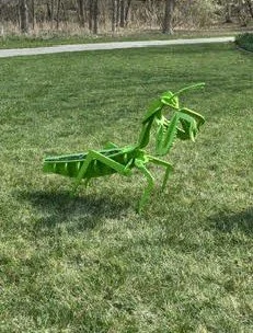 Pair of Praying Mantis