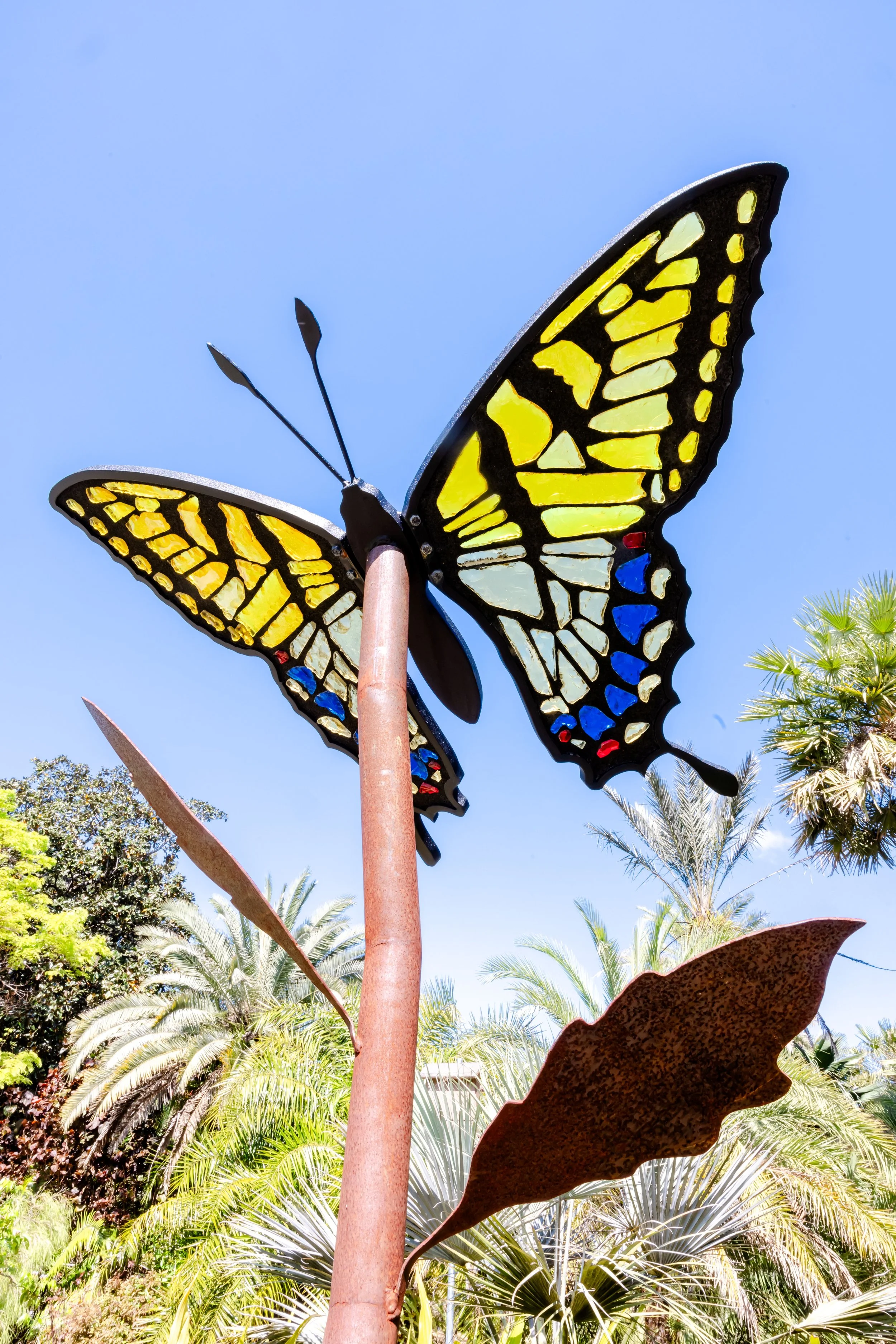 Eastern Tiger Swallowtail