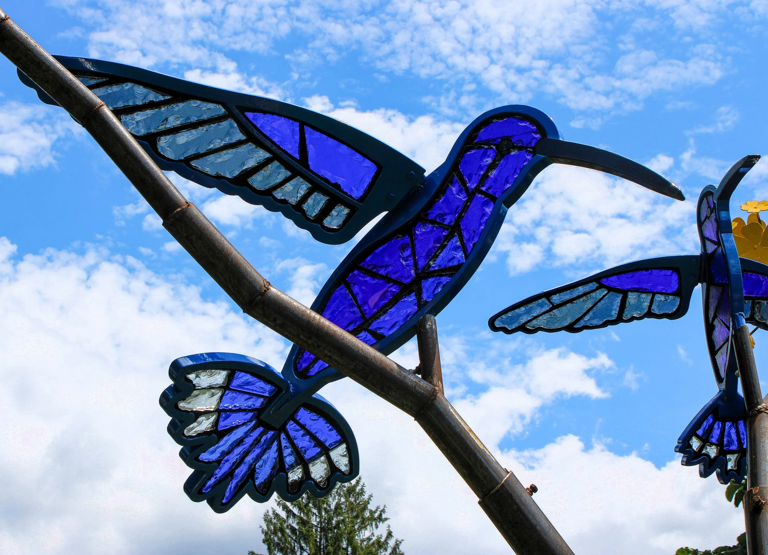 Violet Sabrewing Hummingbird Tree (close up)