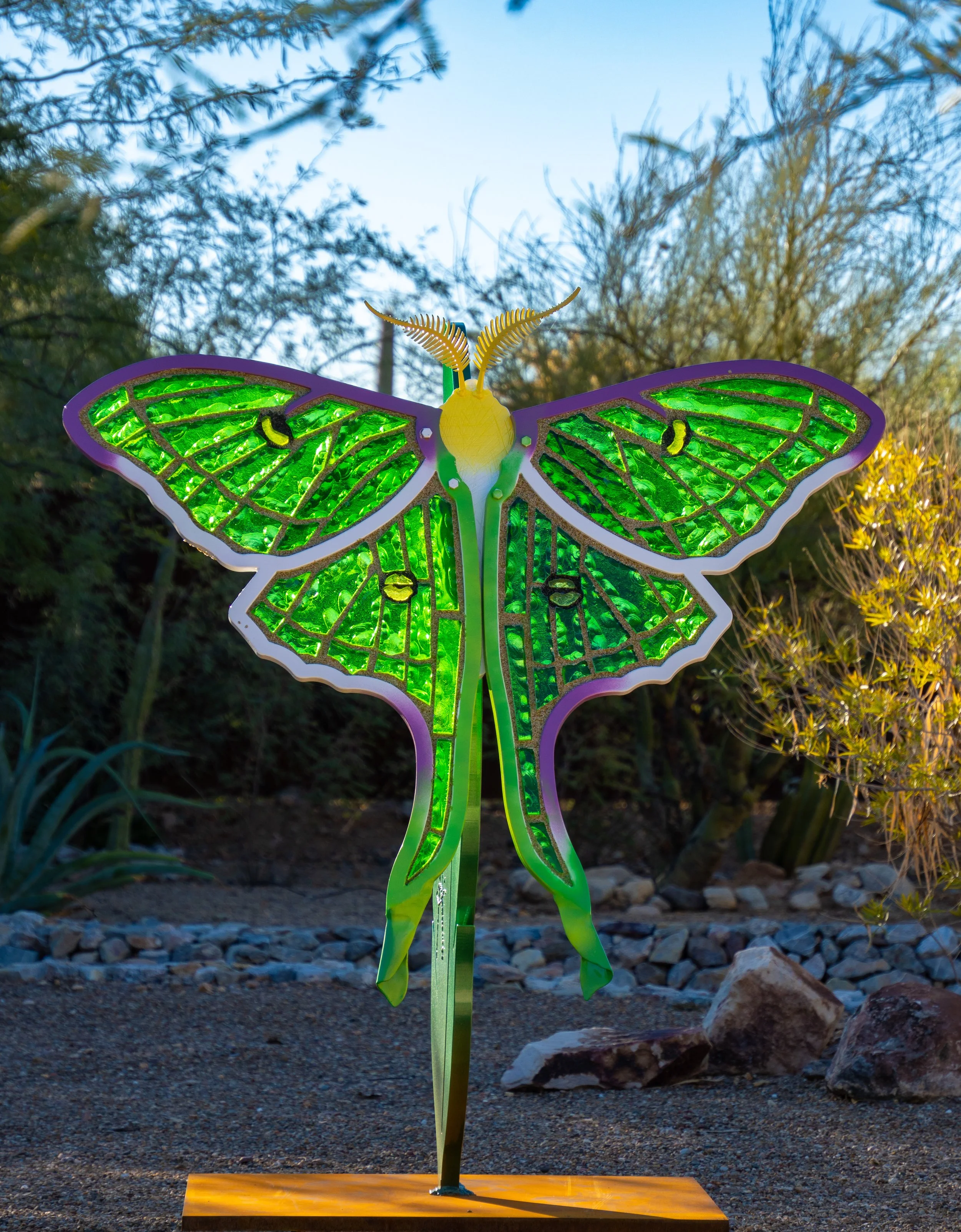 Luna Moth