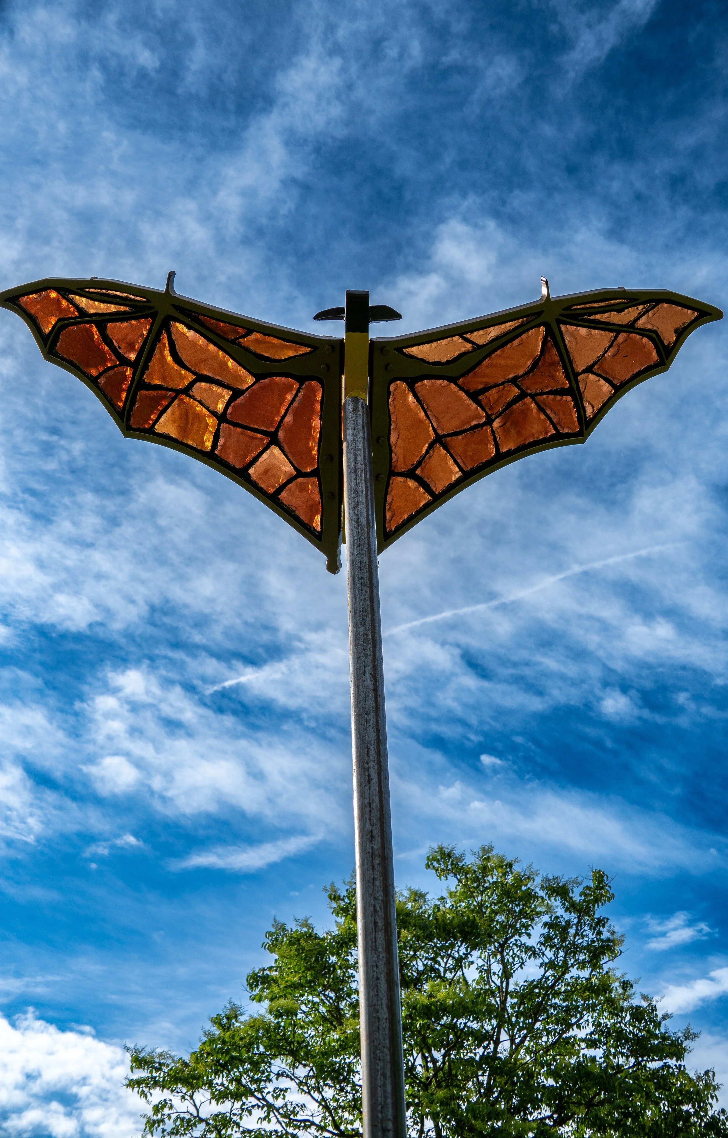 Trio of Bats