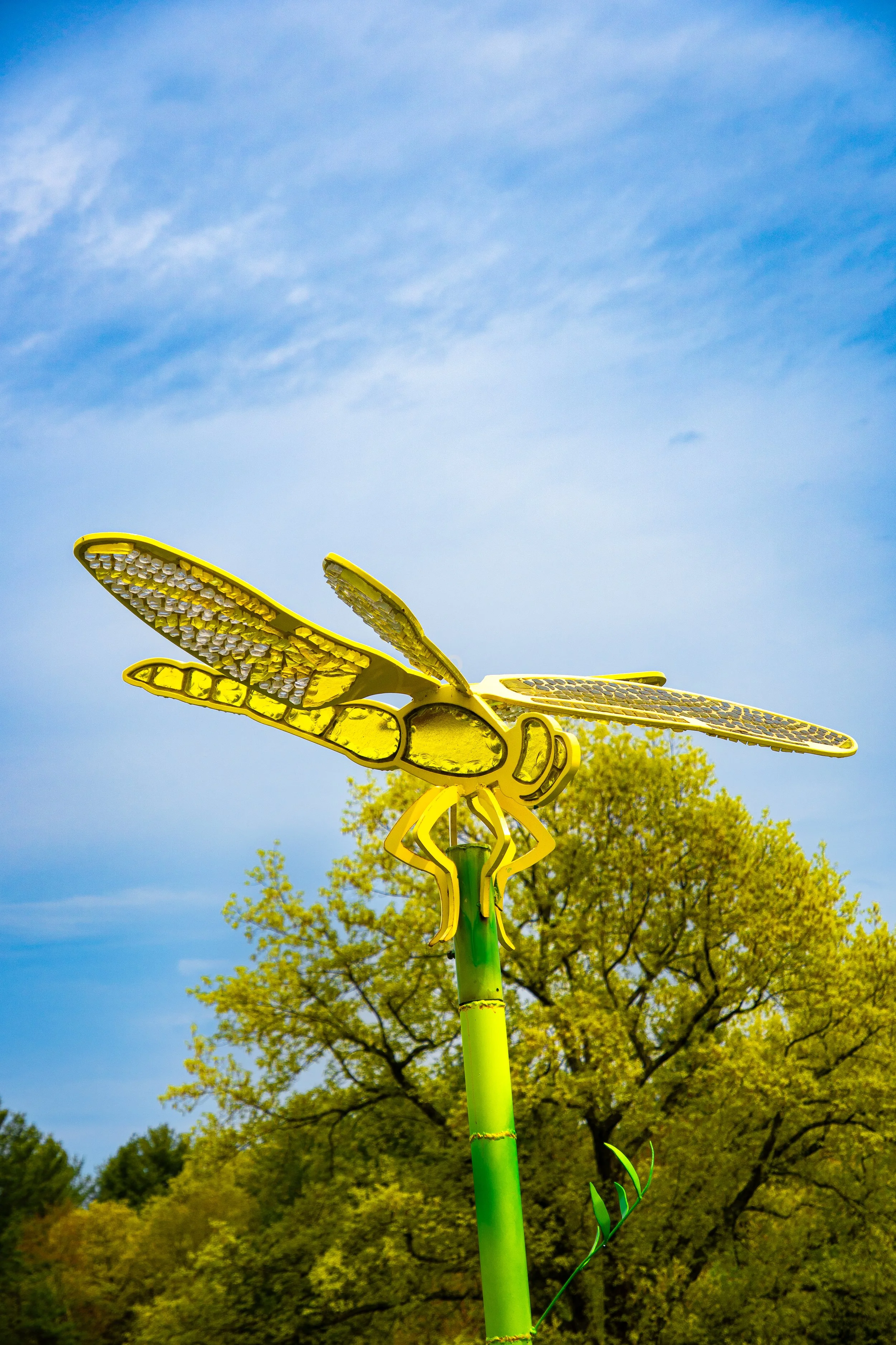 Wandering Glider