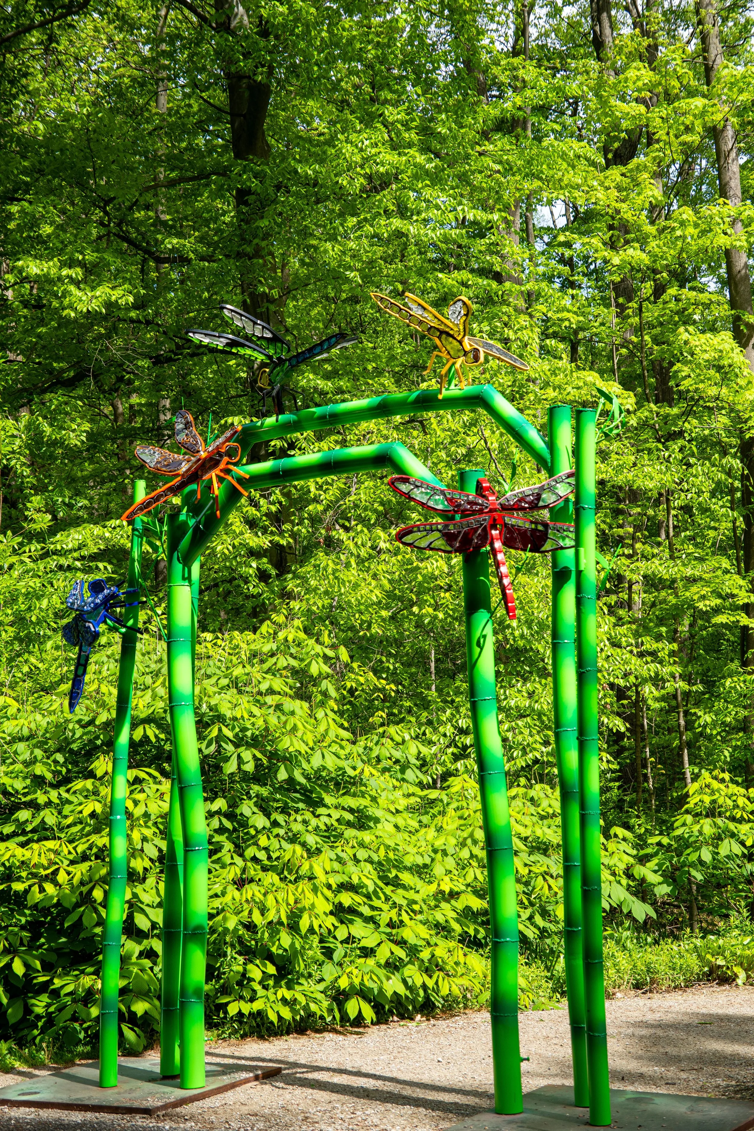 Dragonfly Archway