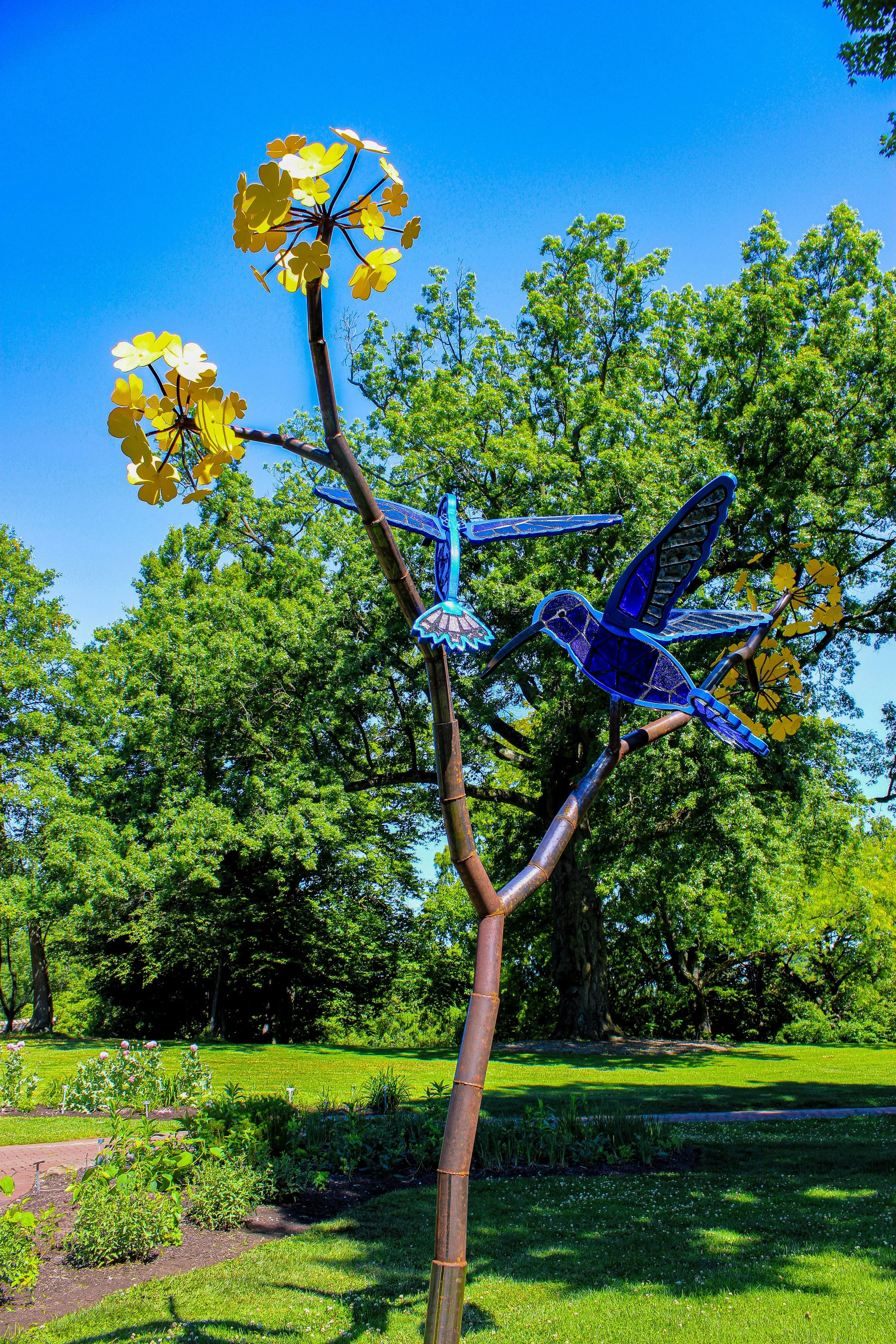 Violet Sabrewing Hummingbird Tree