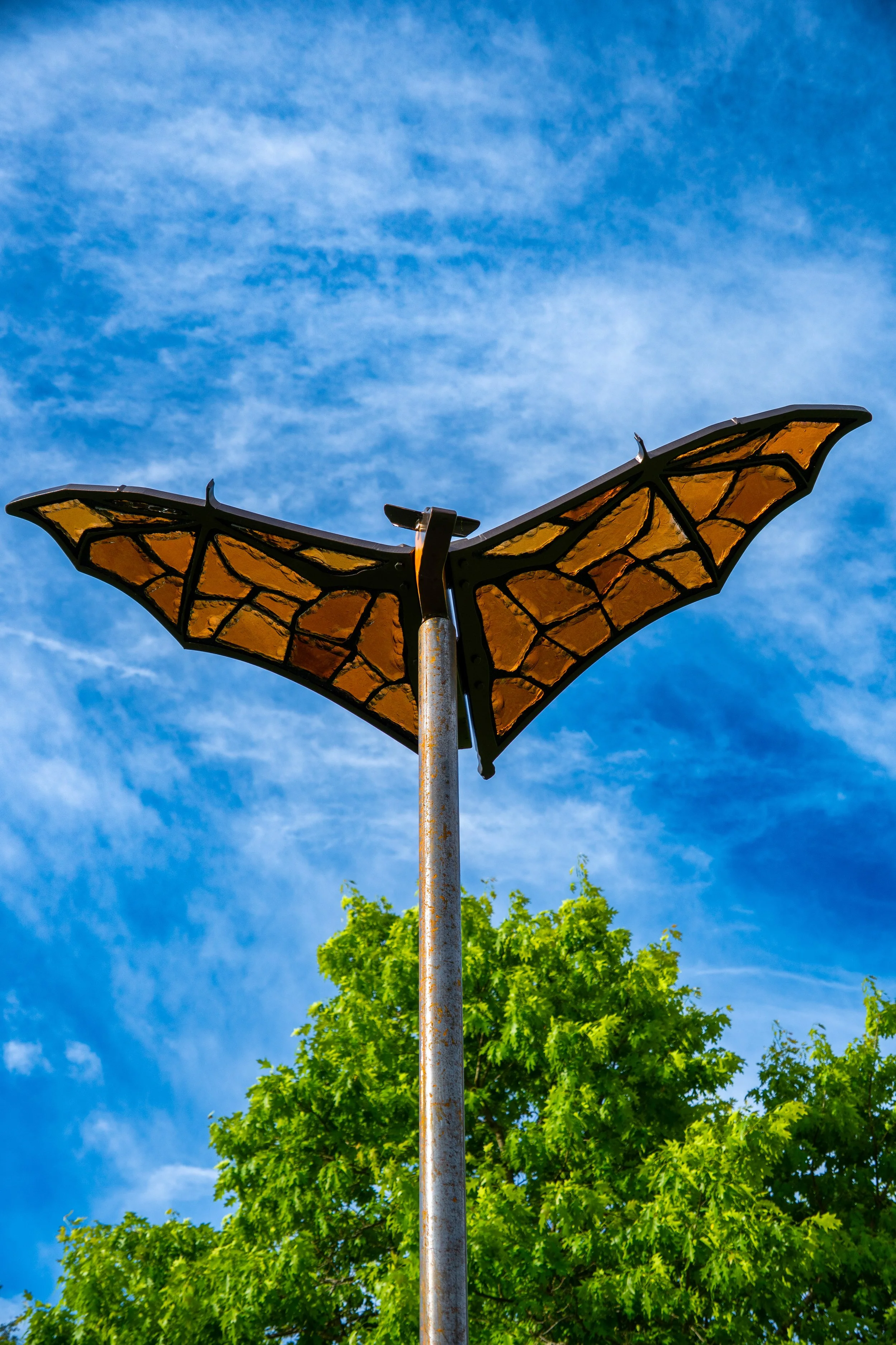 Trio of Bats