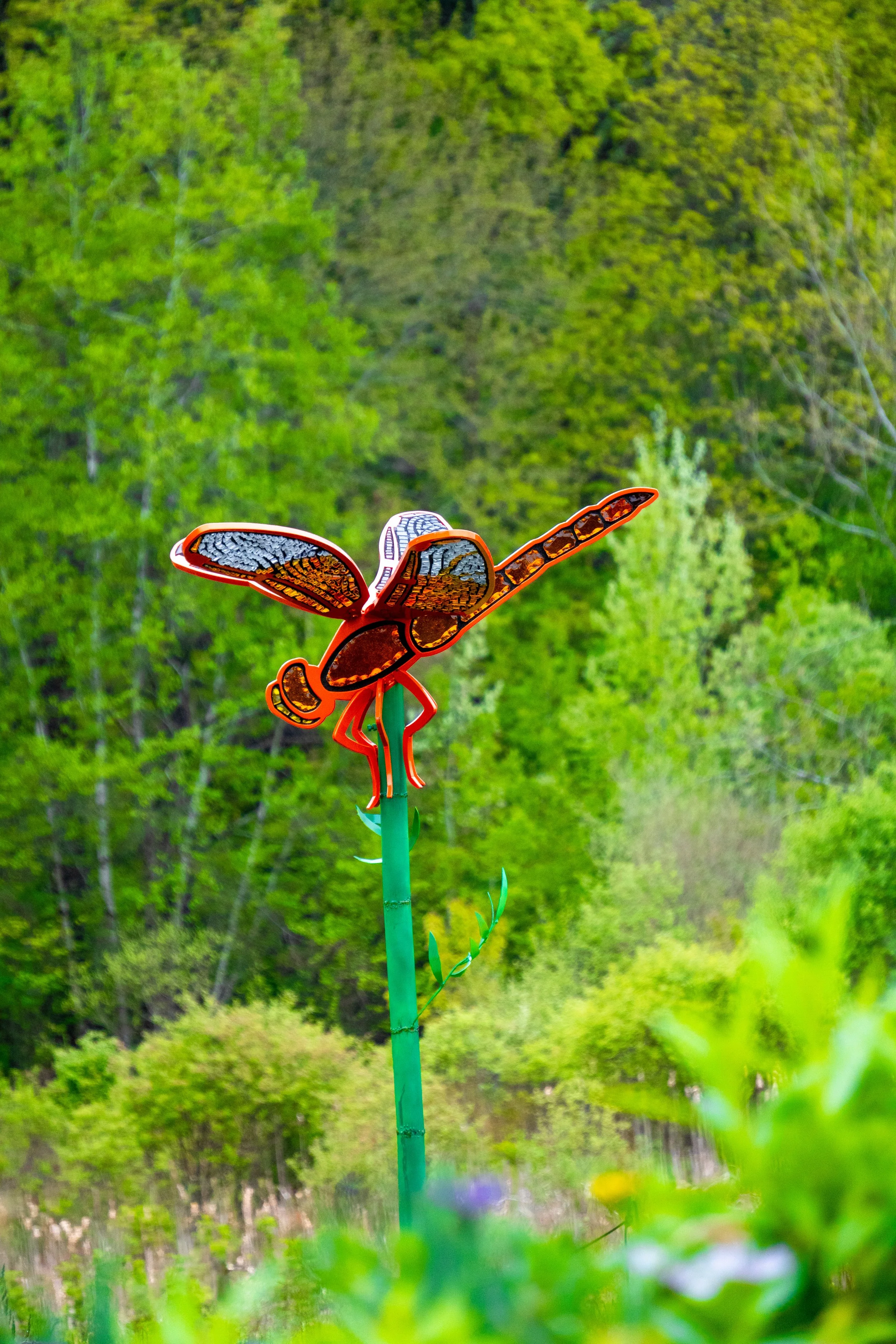 Firecracker Skimmer