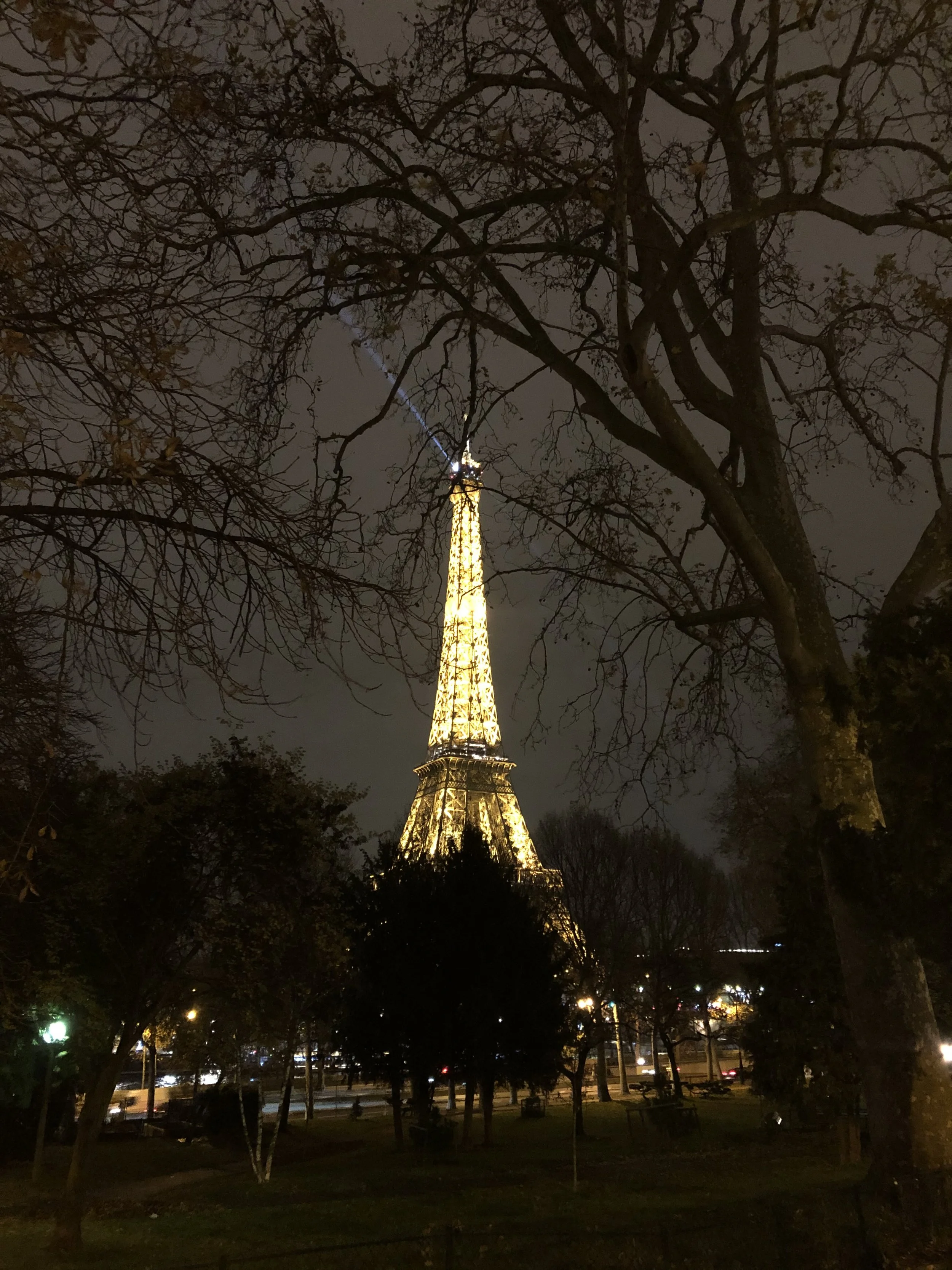 Nighttime view of the Eiffel Tower in Paris, France, illuminated and viewed through trees in a park.