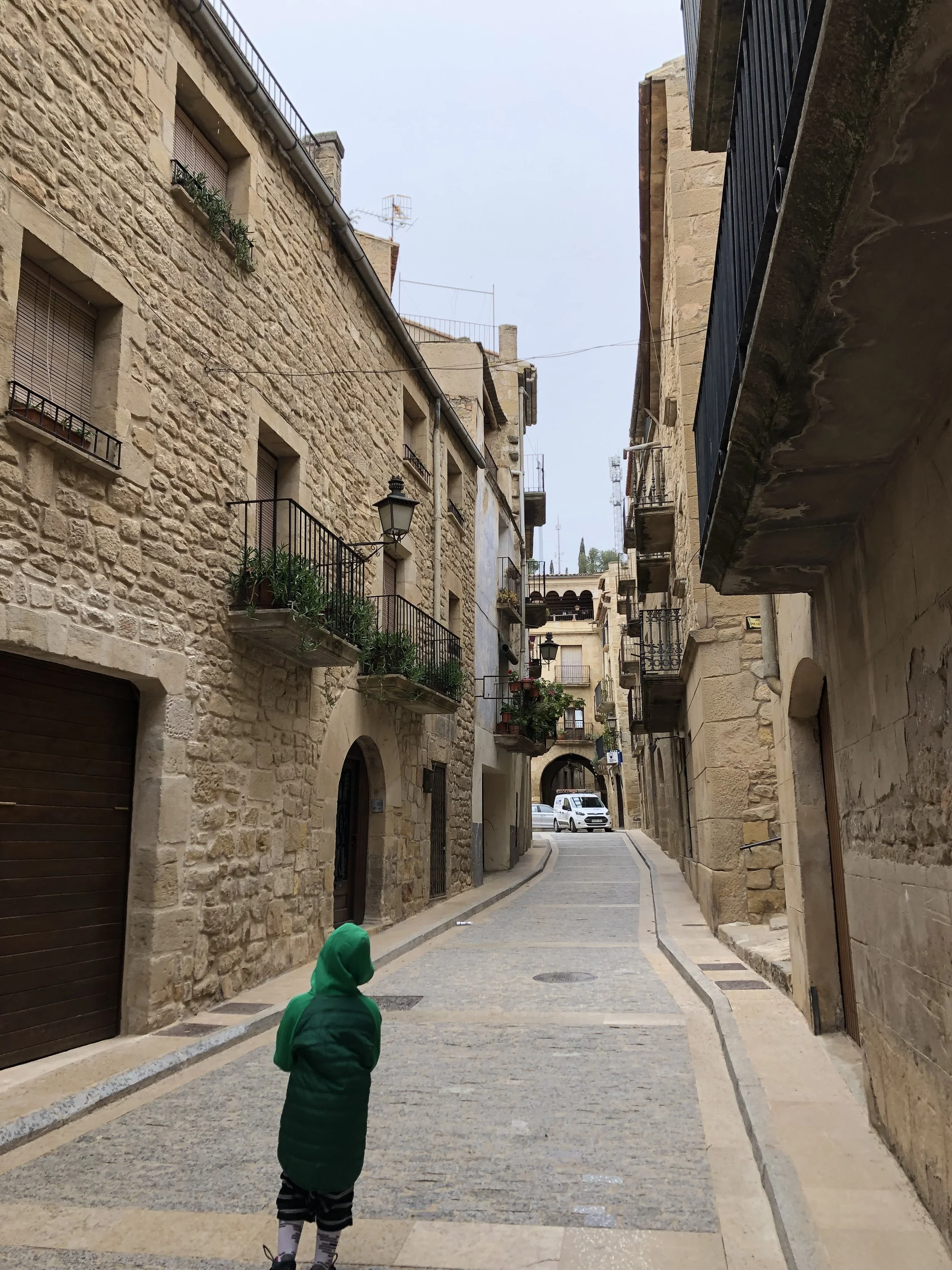 A narrow cobblestone street lined with old stone buildings with iron balconies and flowerpots. Two children, one in a green jacket and another in striped pants and a green hood, walk along the street.