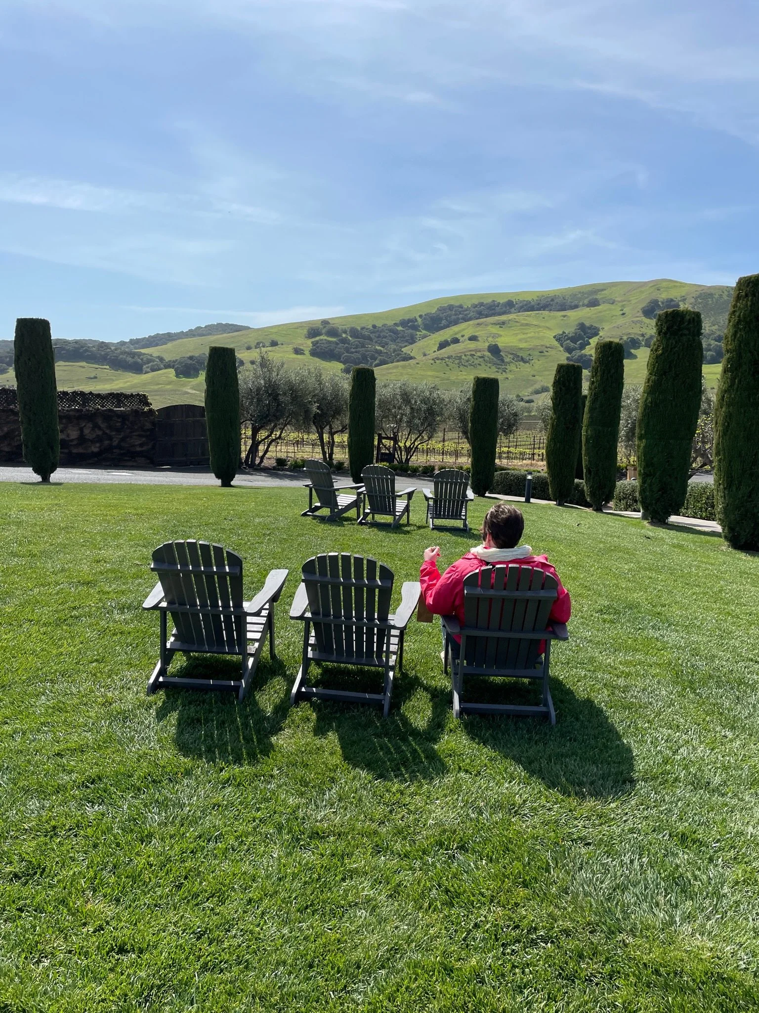A person wearing a red jacket sitting on a black chair on a lush green lawn with scattered chairs, tall cypress trees, and rolling green hills under a partly cloudy sky in the background.