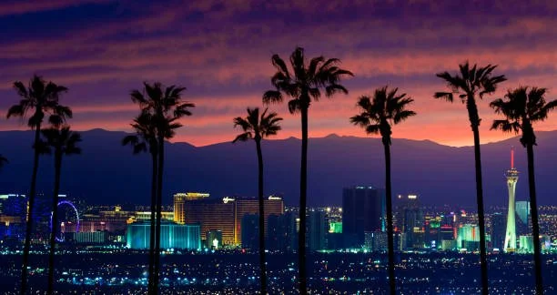 Night view of Las Vegas skyline with palm trees in foreground and mountains in background.