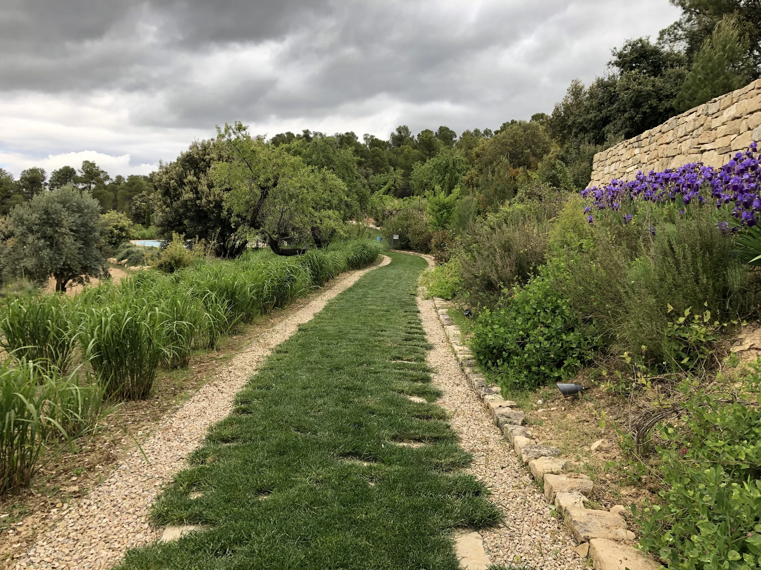 A garden path with grass and gravel sections, bordered by lush green plants and a stone wall with purple flowers, under a cloudy sky.
