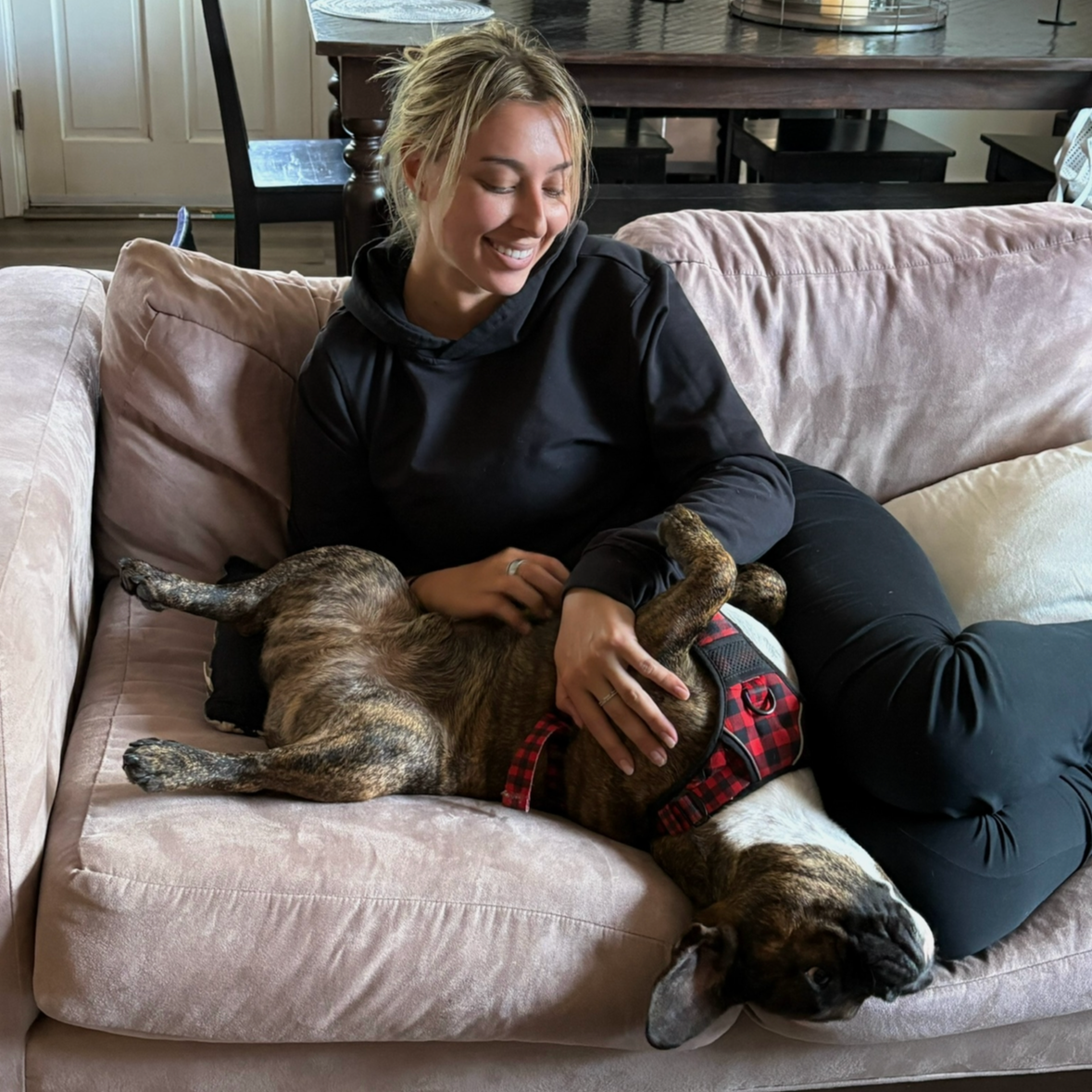 A woman smiling on a pink couch with a brindle dog lying on its back, wearing a red and black plaid harness, while she gently pets it.