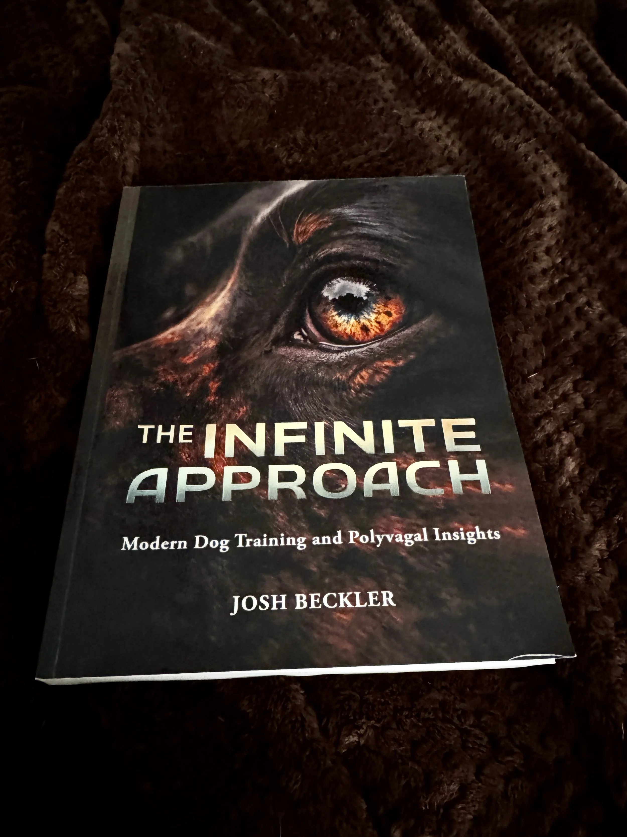 Notes: The Infinite Approach by Josh Beckler