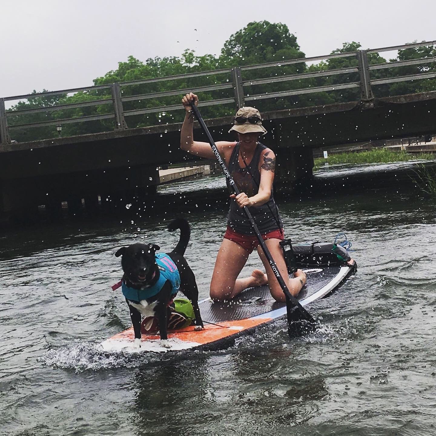 Person and dog paddleboarding in a river near a bridge, the person wearing a hat and sunglasses, with trees in the background.